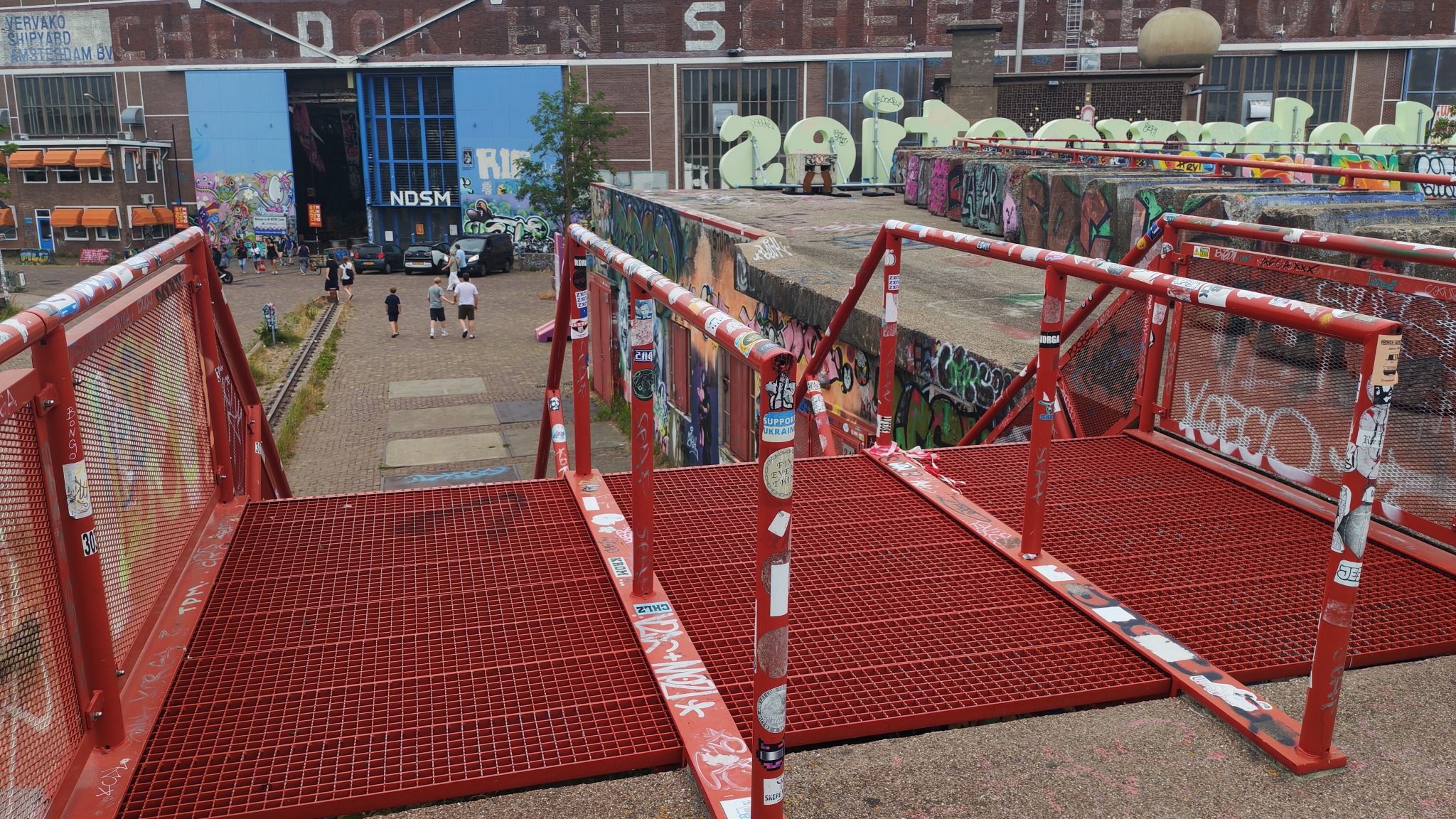 Red rail — photo 1
