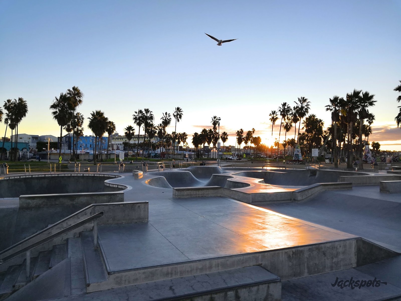 Venice Beach Skatepark — photo 1