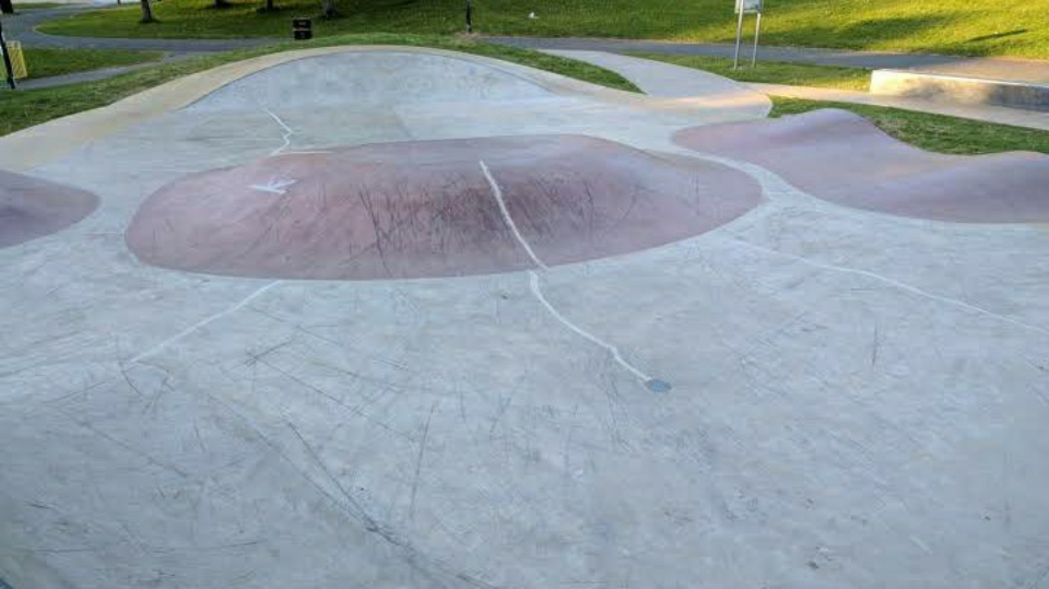 Everton Park Skatepark (Liverpool) — photo 1