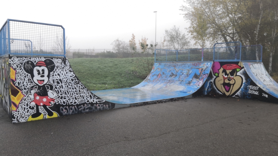 Fontenay-le-Fleury skatepark — photo 1