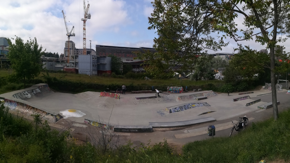 Skate Park "Dog Shit Spot" — photo 1