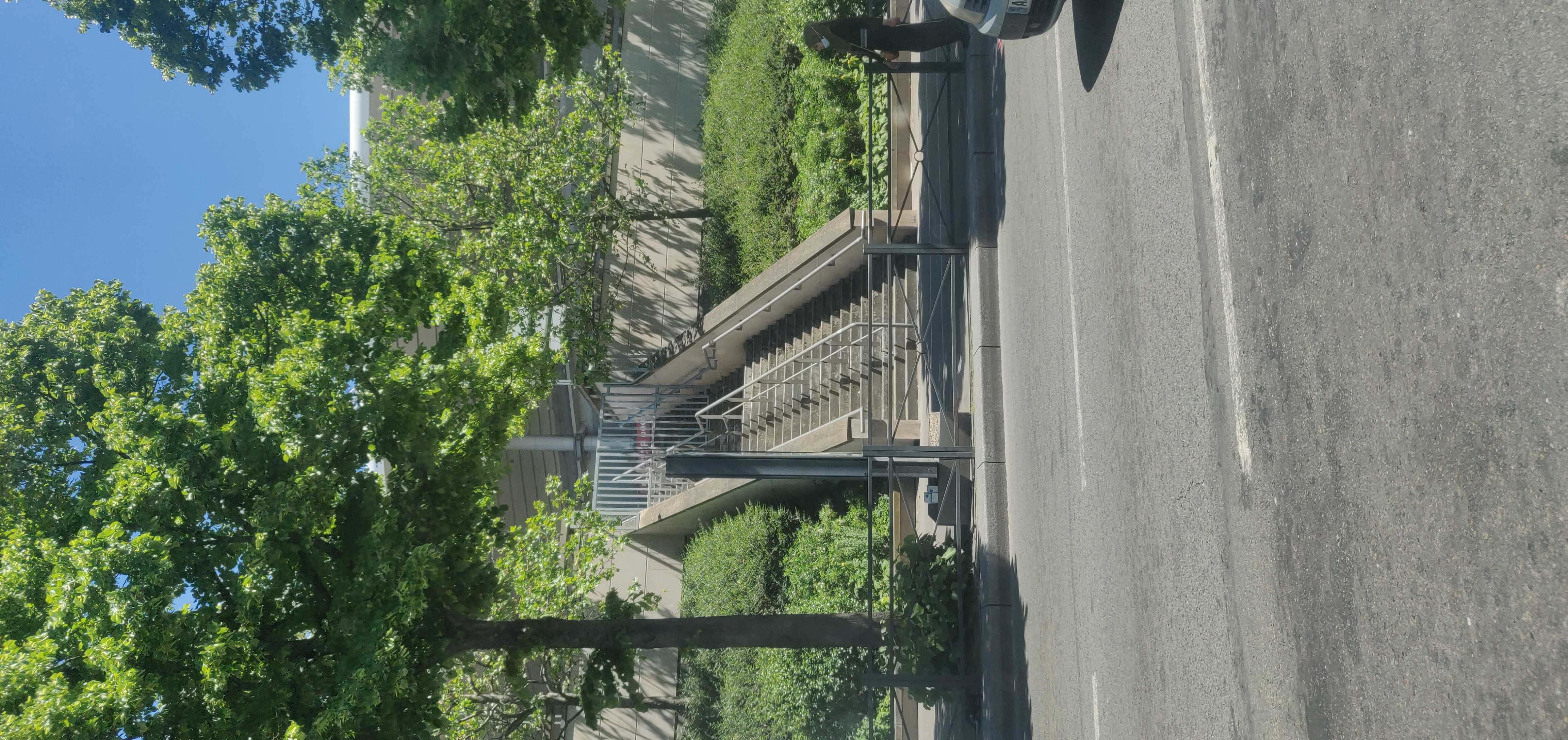 High rails and ledges (with kink) — photo 1