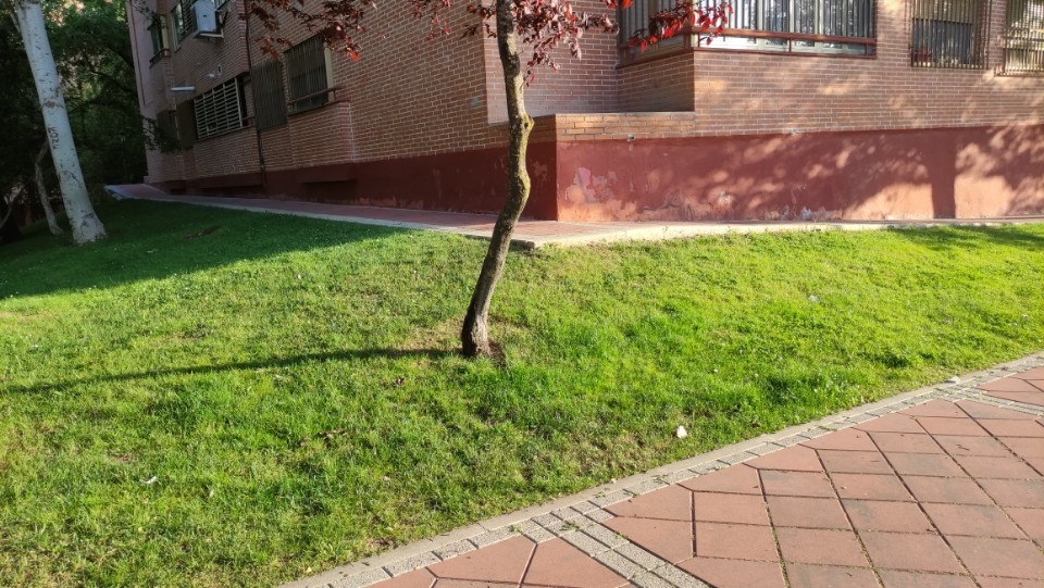 Gap del ambulatorio — photo 1