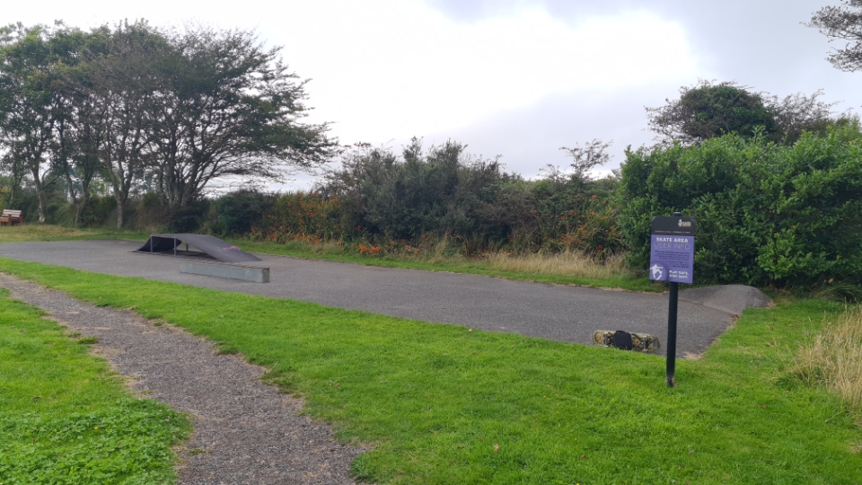 Troon mini ramp — photo 1