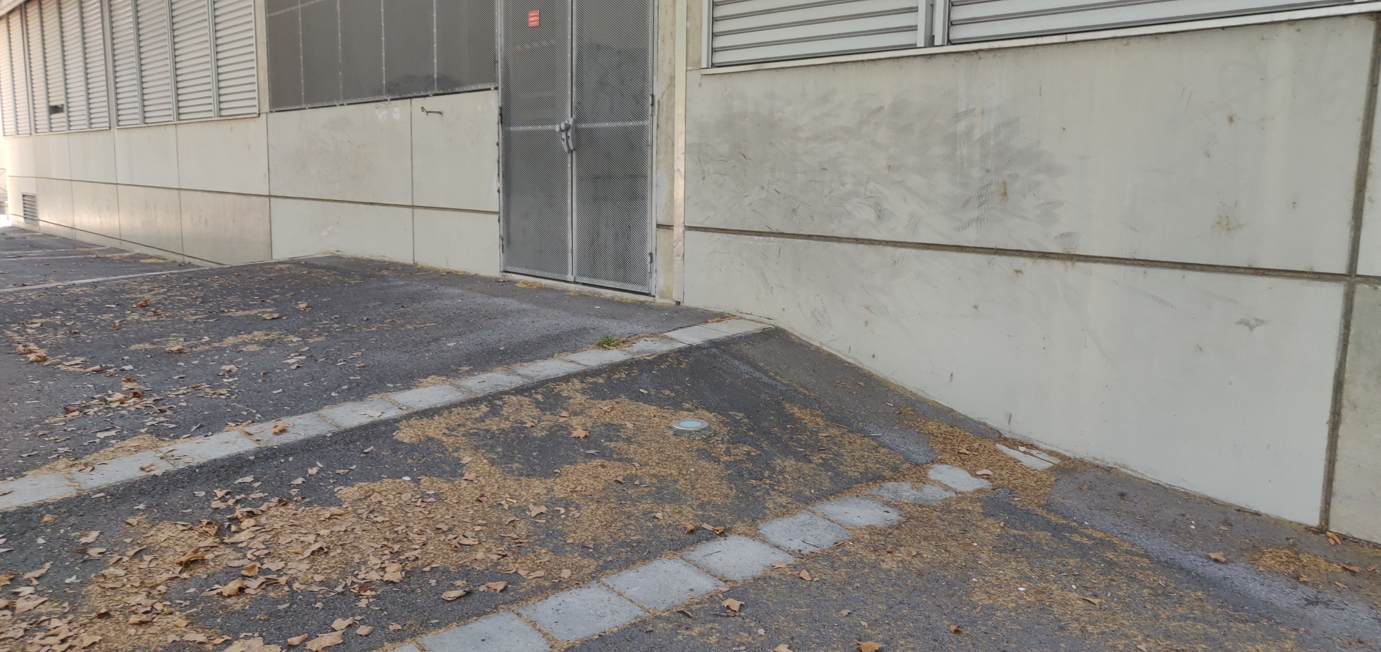 Nice walls — photo 1