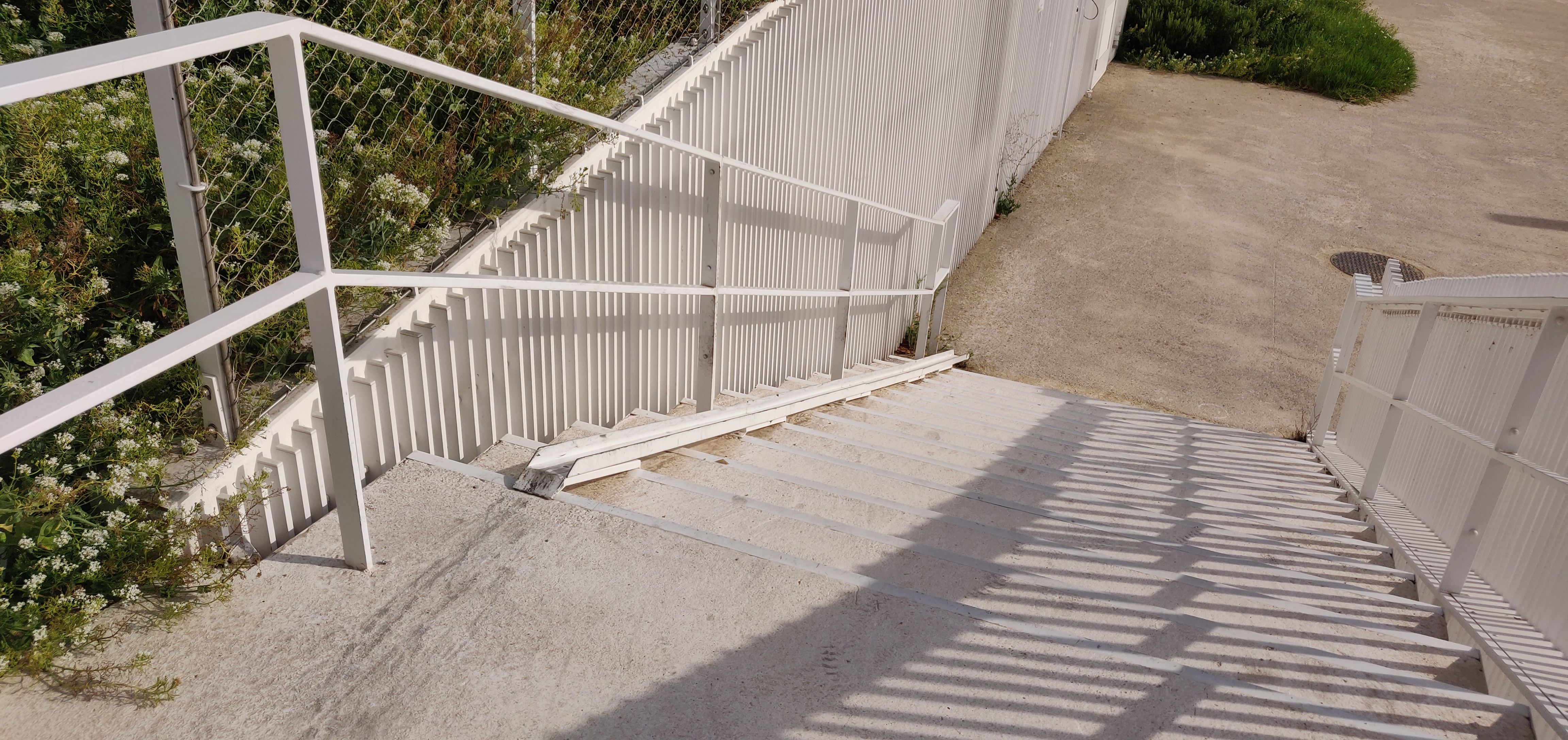 White rails — photo 1