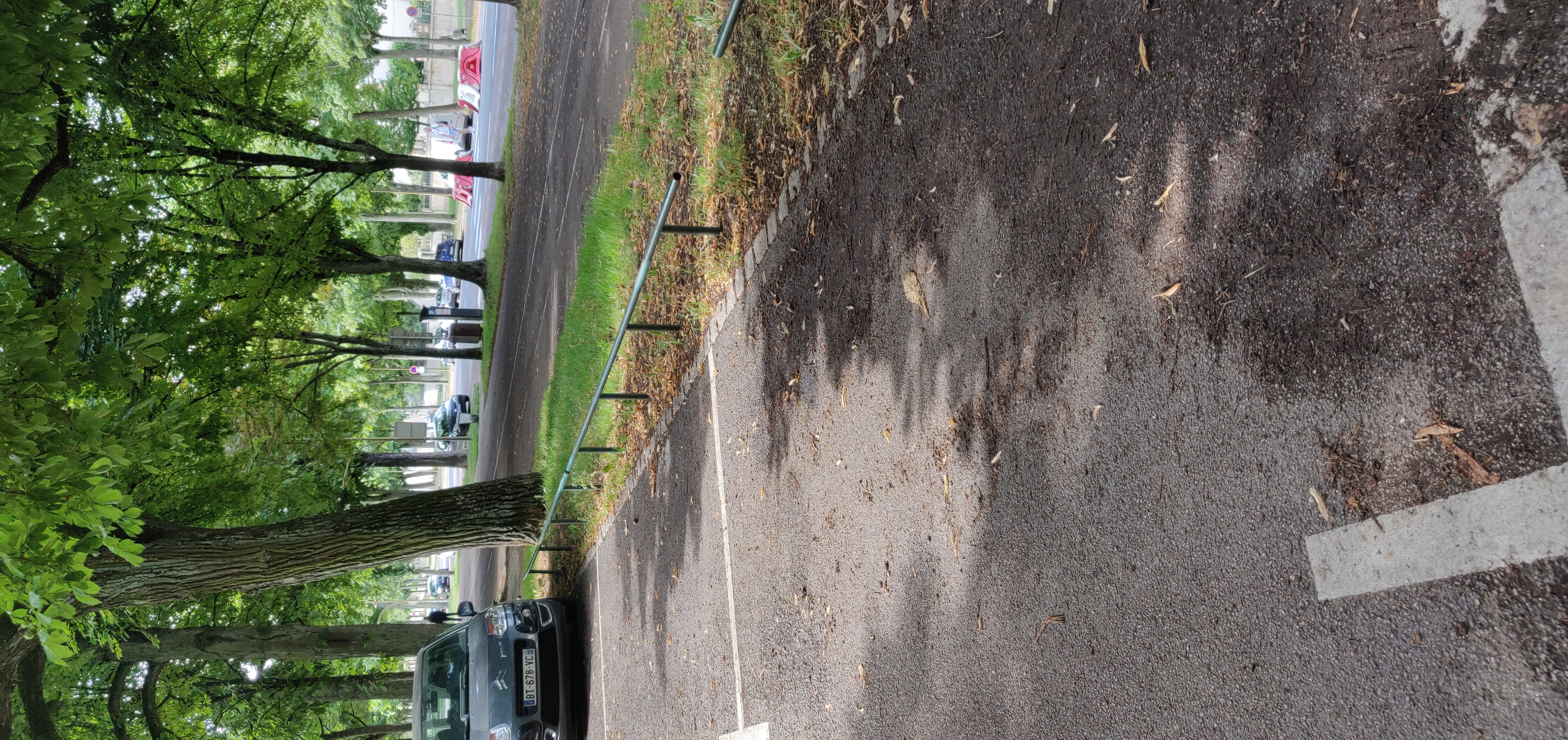 little low rails — photo 1