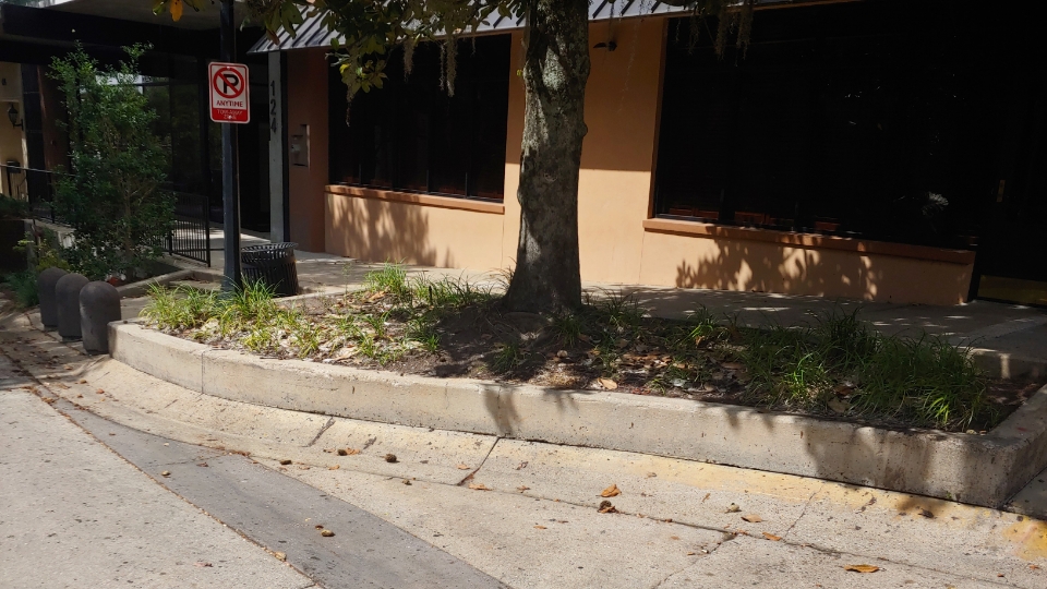 West Jefferson St. Spot — photo 1
