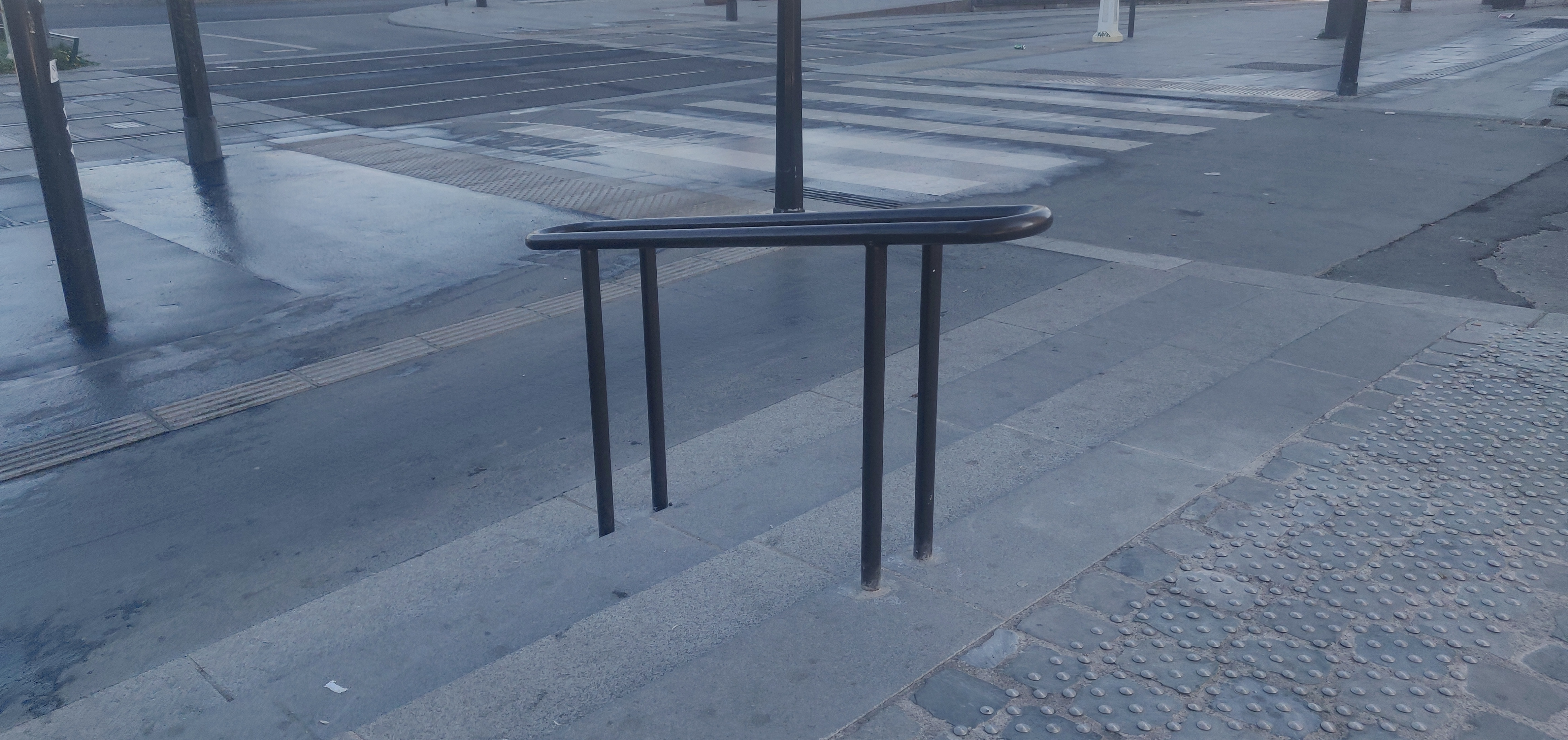 Little rail — photo 1