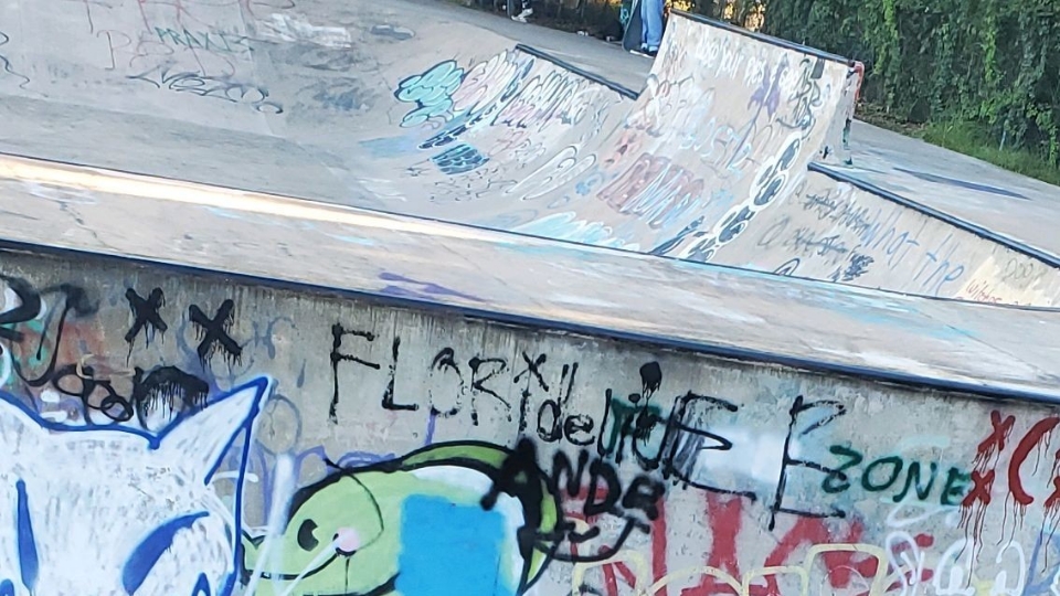 Mike Blankenship Skatepark — photo 1