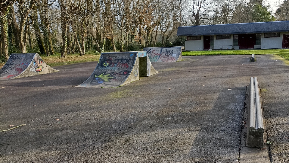 La roseraie skatepark — photo 1