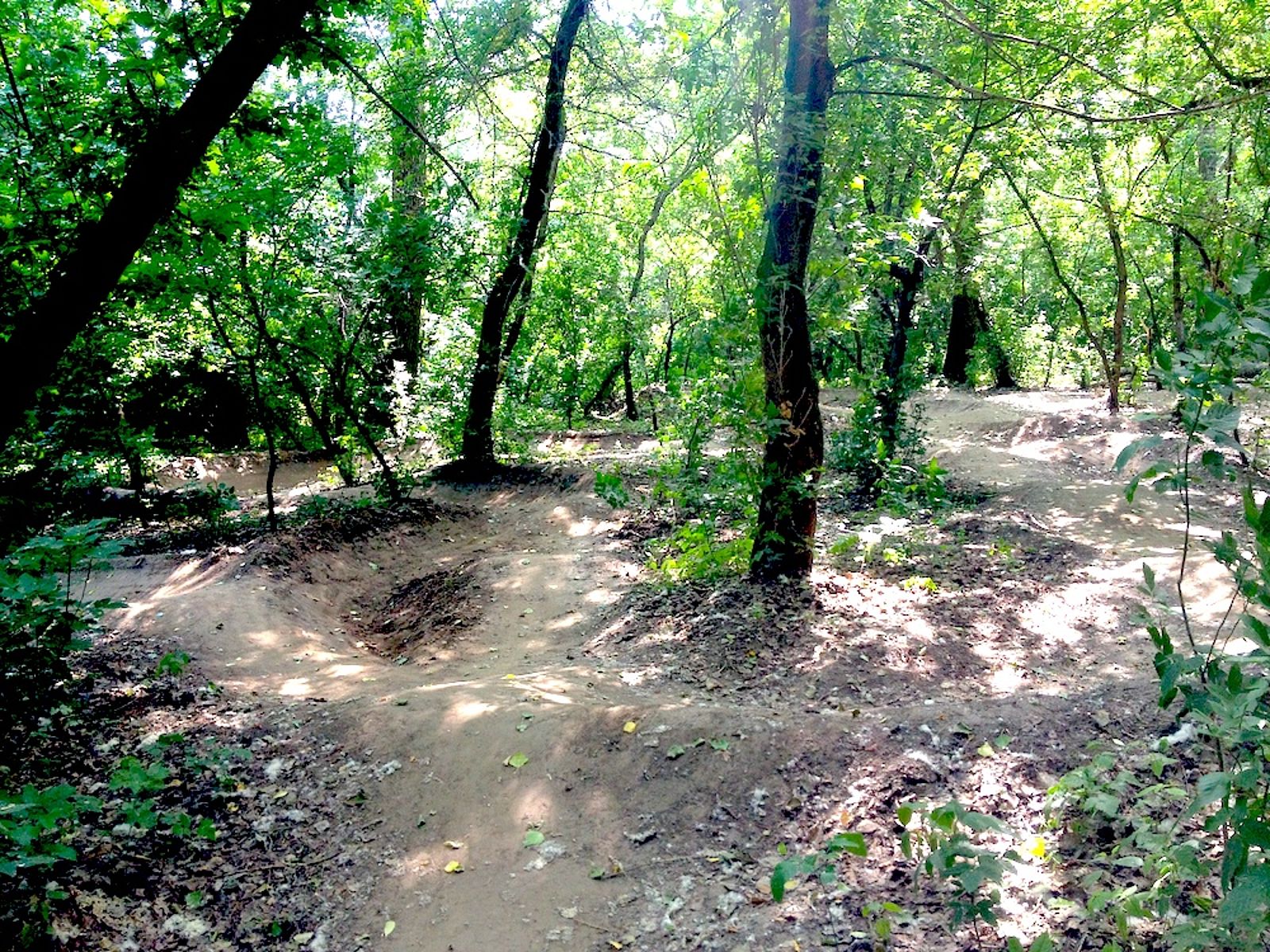 Pumptrack Bryansk — photo 1