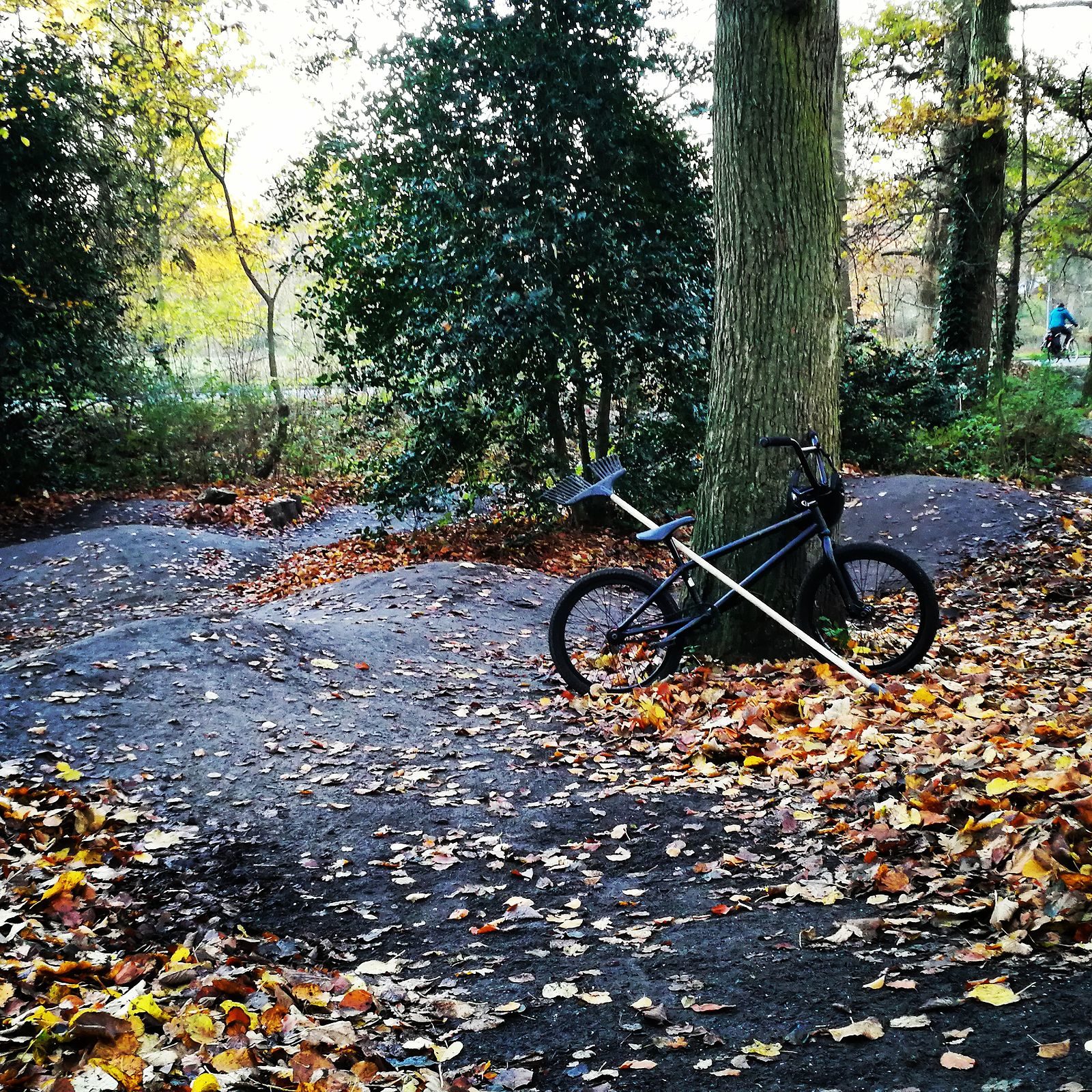Pumptrack Midden Berm — photo 1