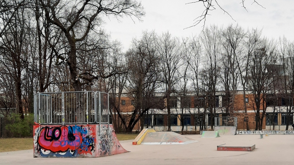 Maßmann Skatepark — photo 1