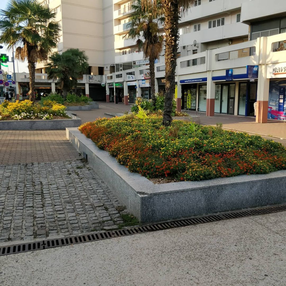 Curb VLG — photo 1