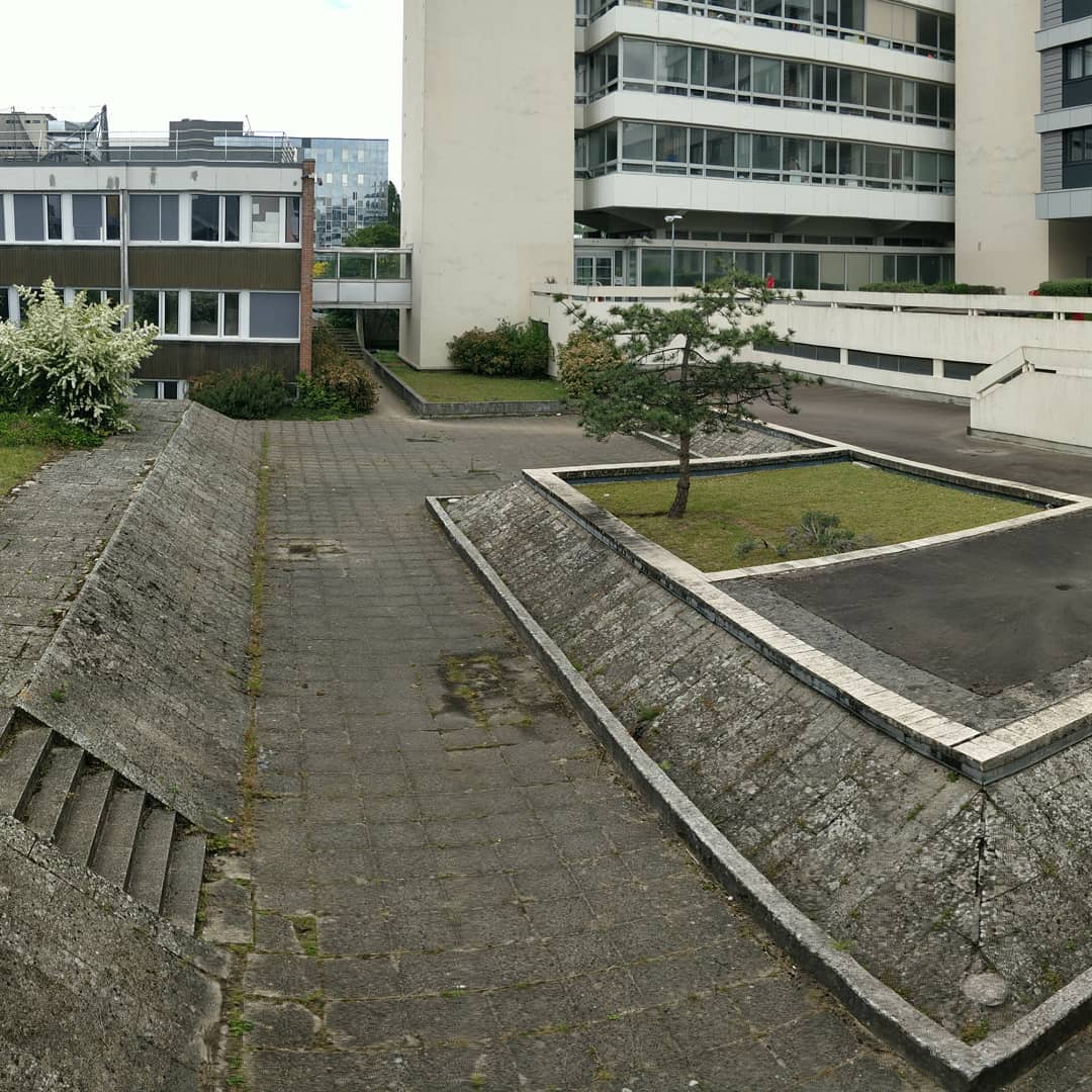 Ditch — photo 1
