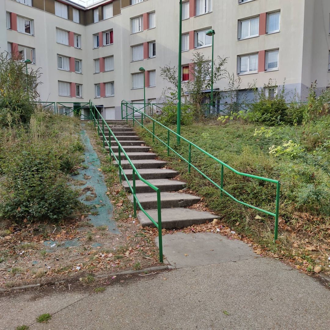 Rail Chantepie — photo 1