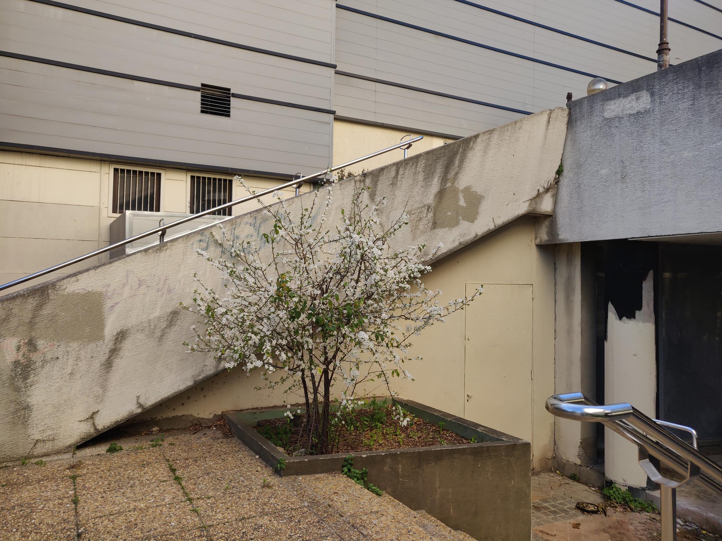 Big gap — photo 1