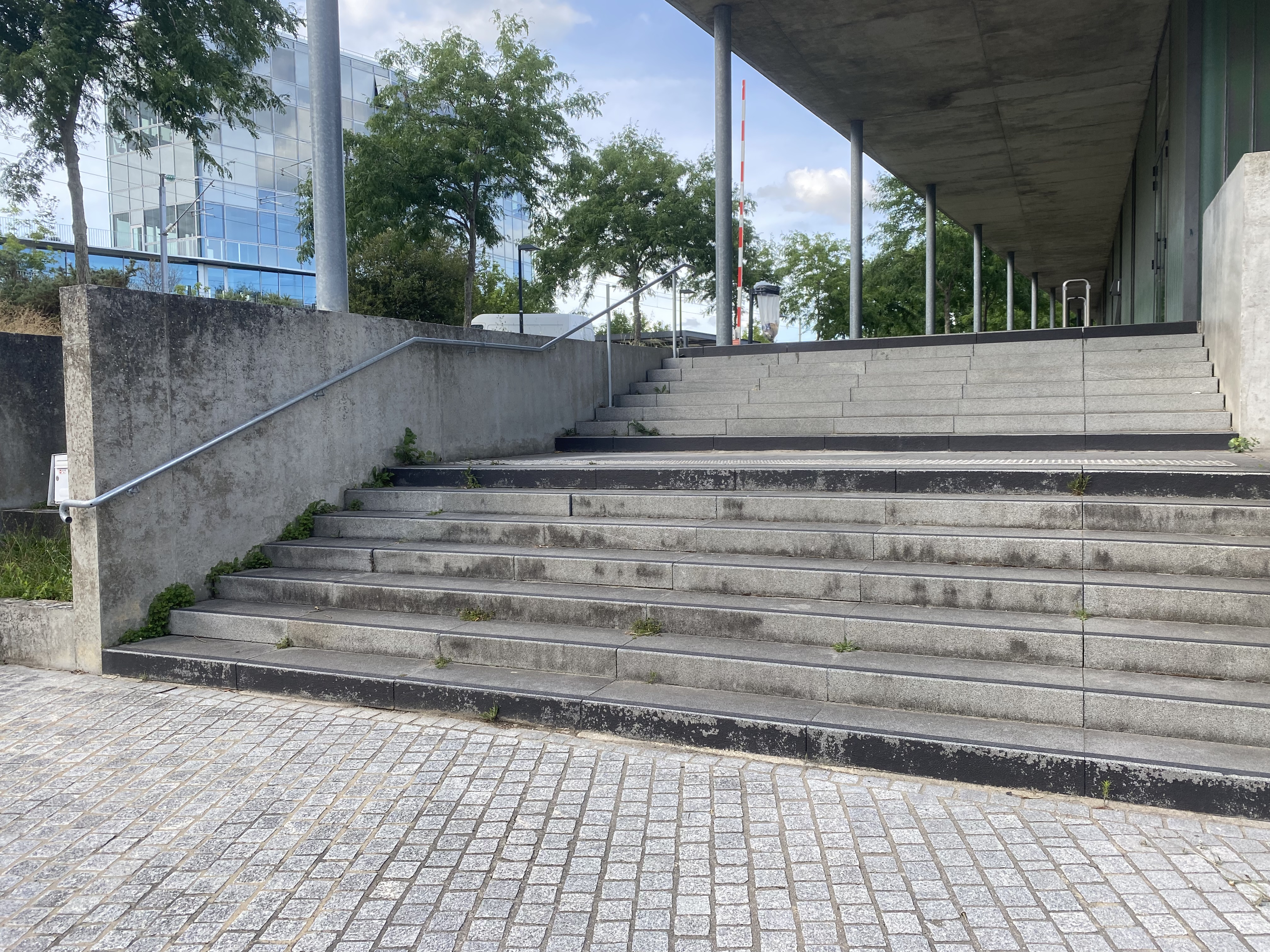 Escalier de la Petite Amazonie — photo 1