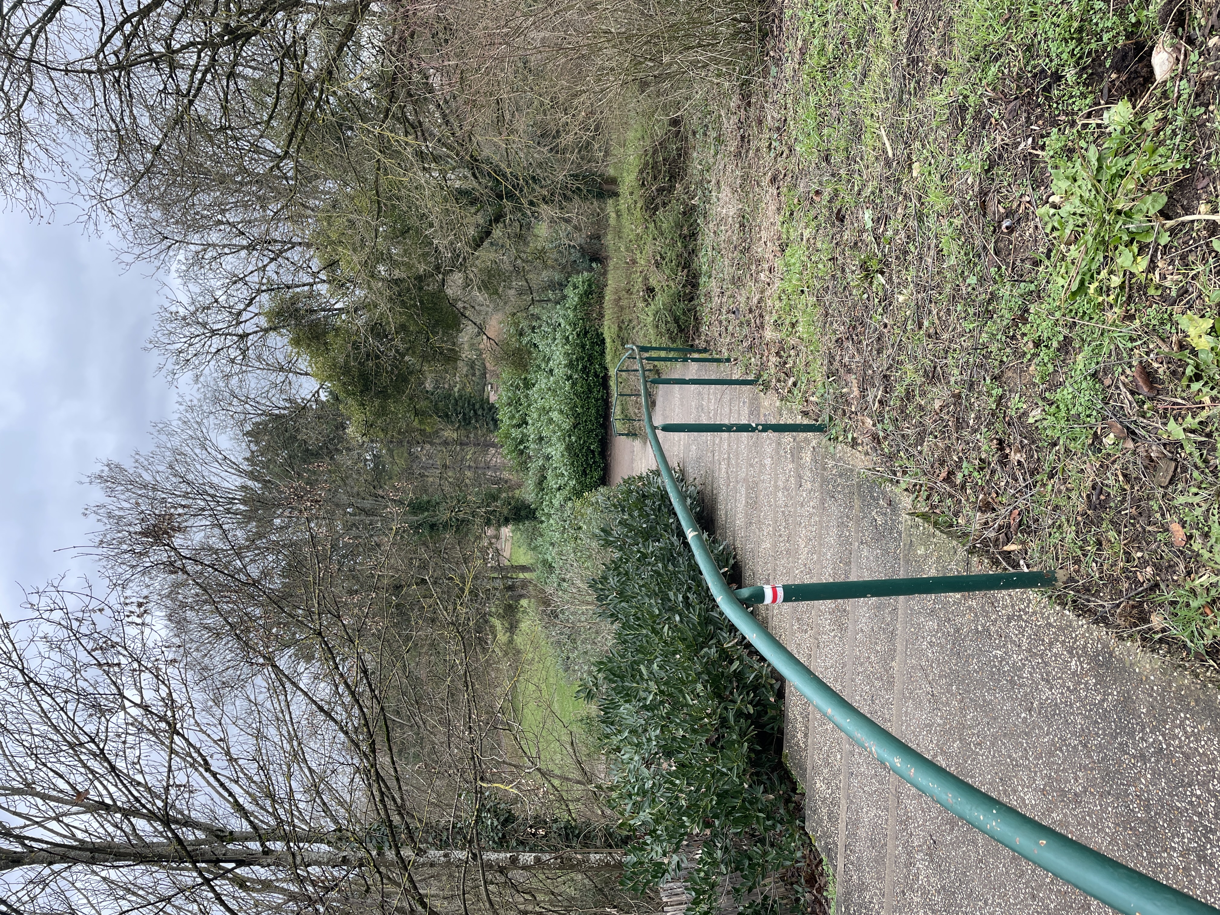 Rail descente 25m — photo 1