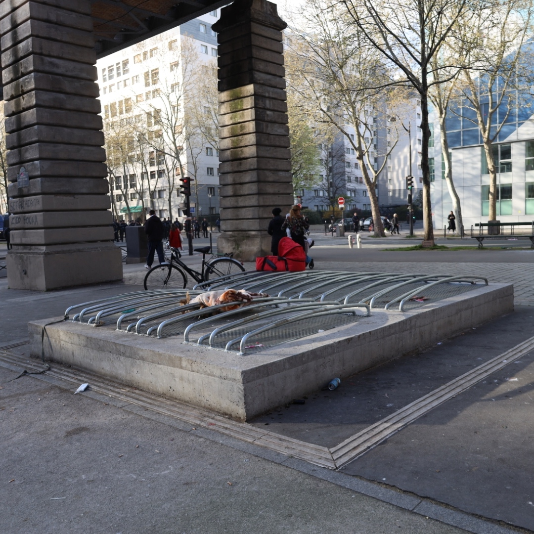 Multi rail — photo 1