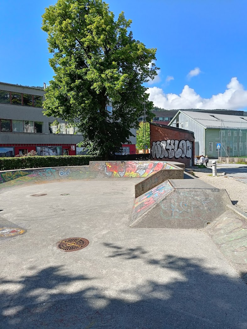 Nygardsparken Skatepark — photo 1