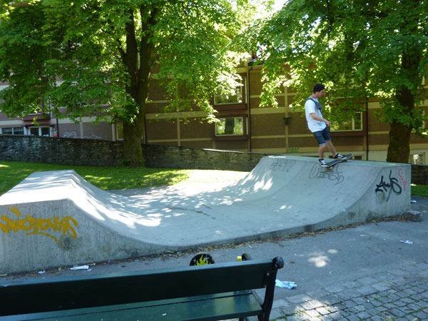 Dahls Gate Mini Ramp — photo 1