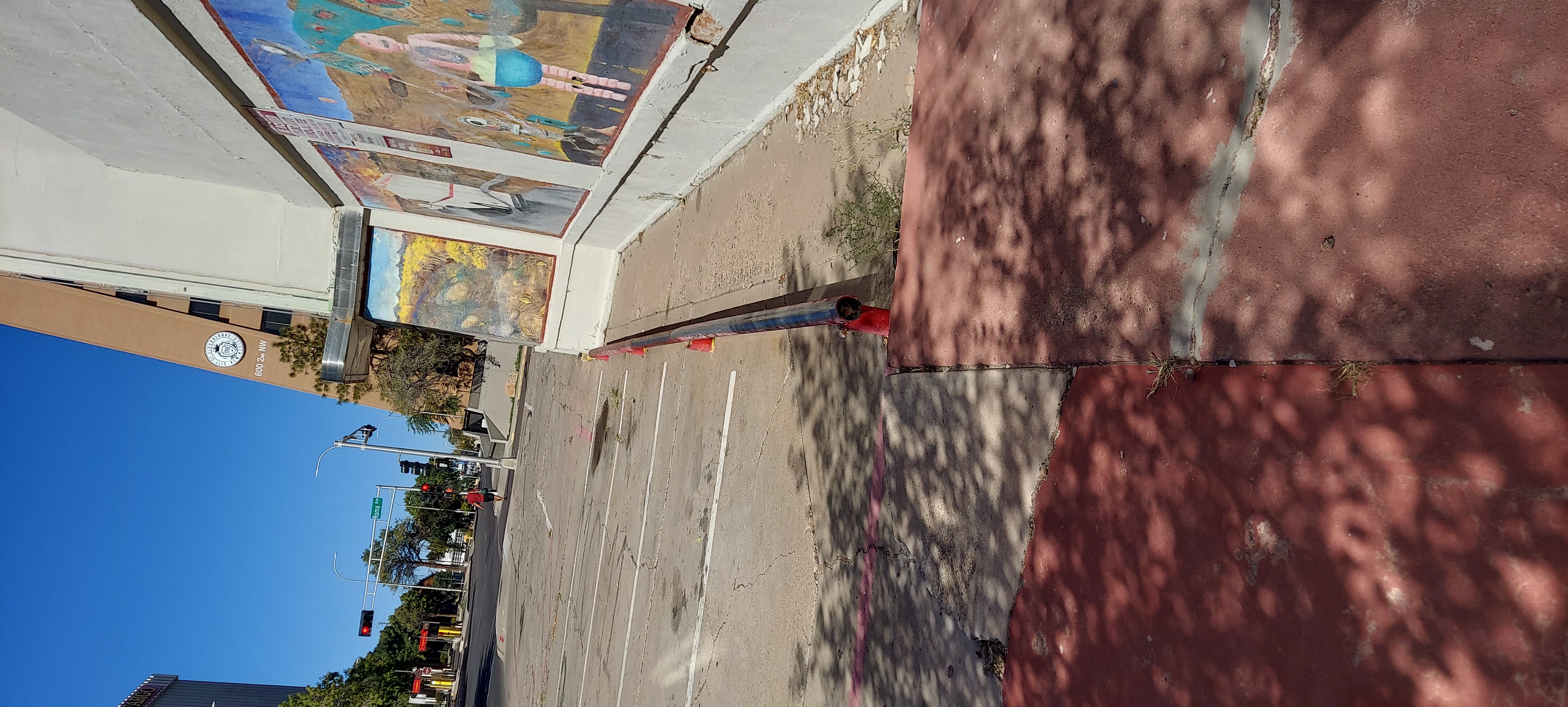Red rail — photo 1