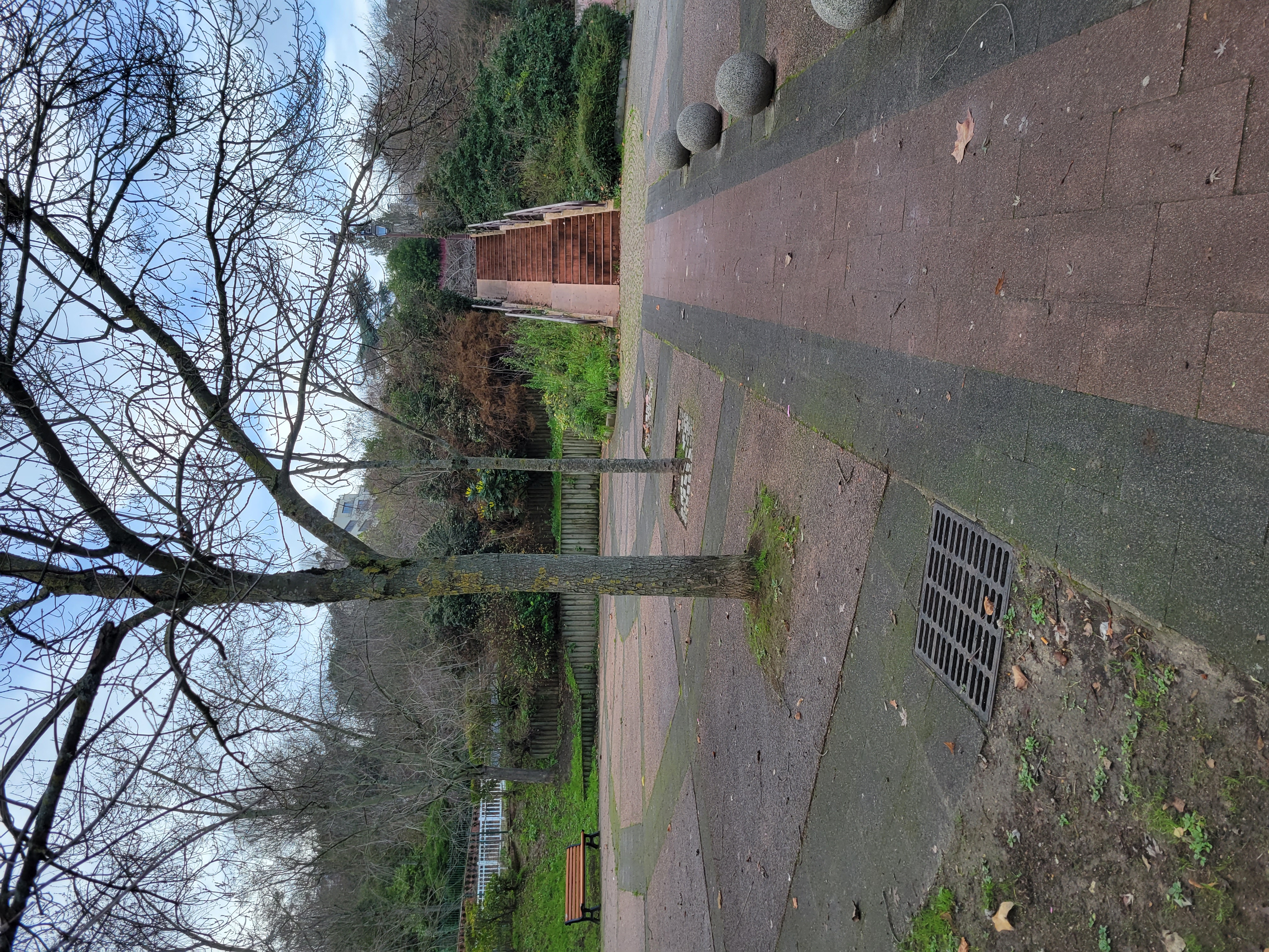 Rue Marius Franay Spot — photo 1