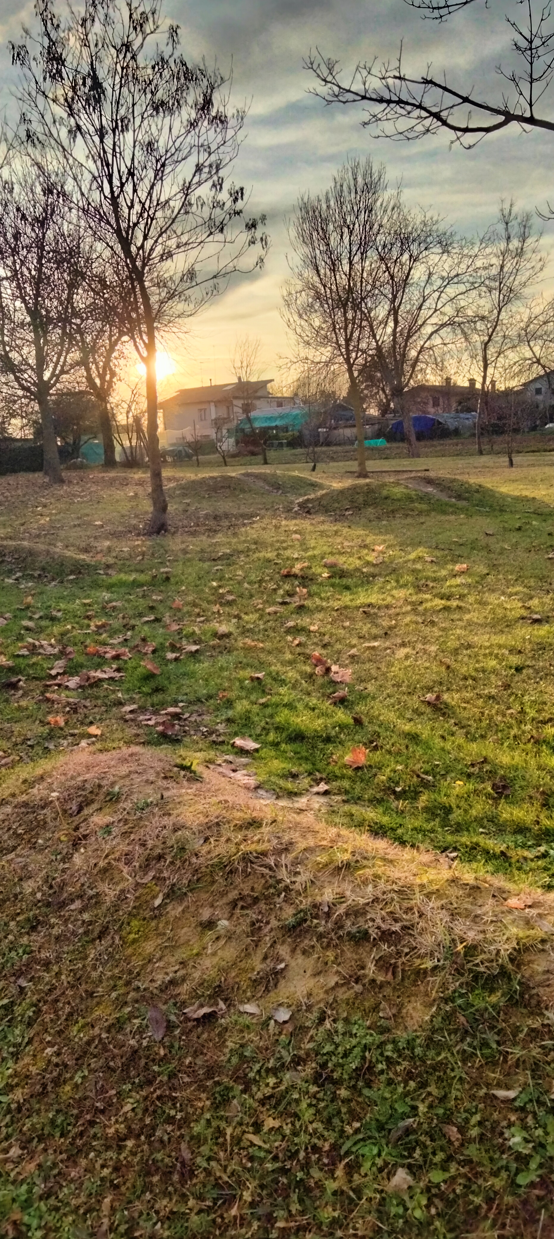 Bike Park — photo 1