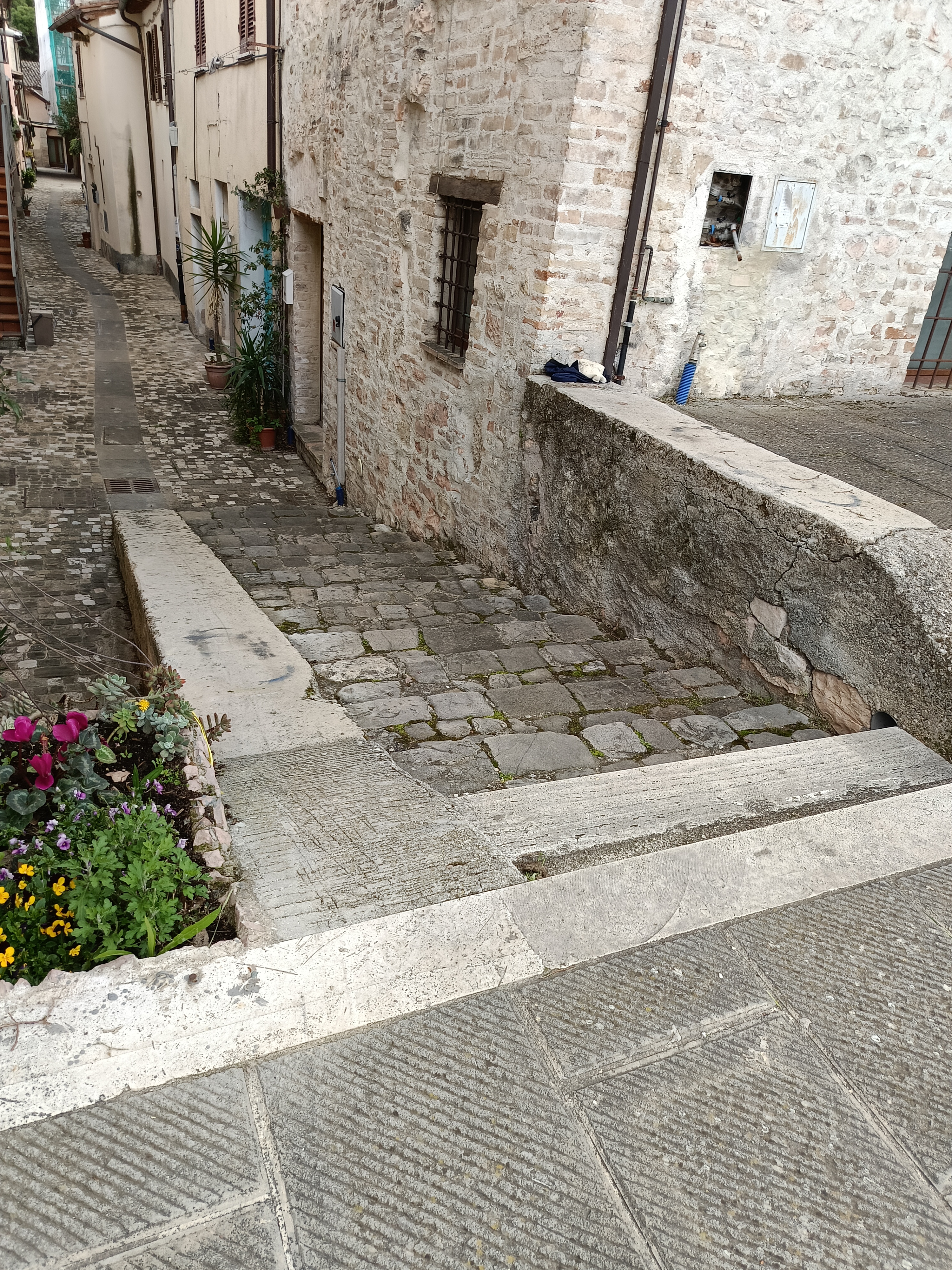 Scalone del porco — photo 1
