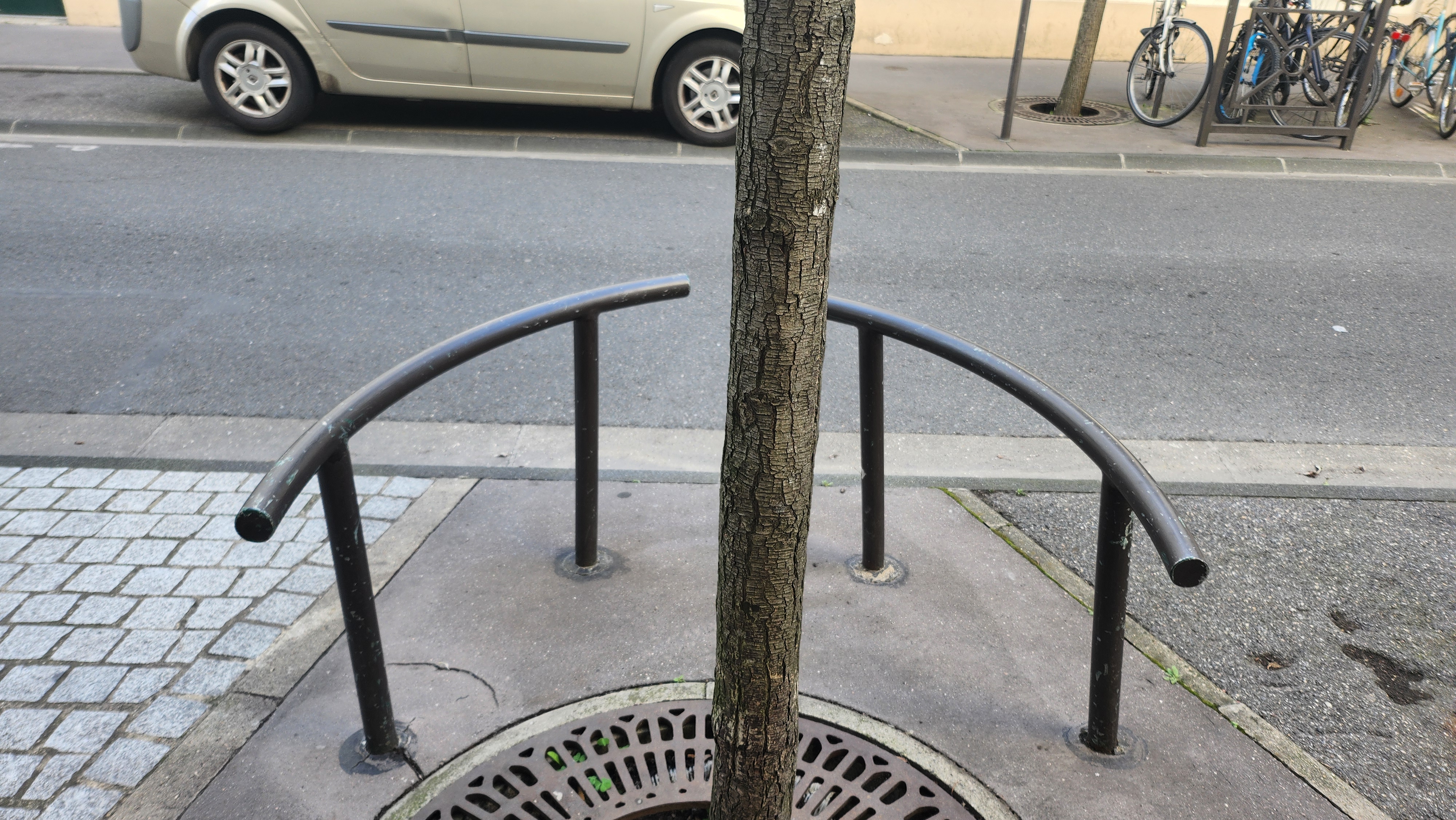 Little curb rails — photo 1