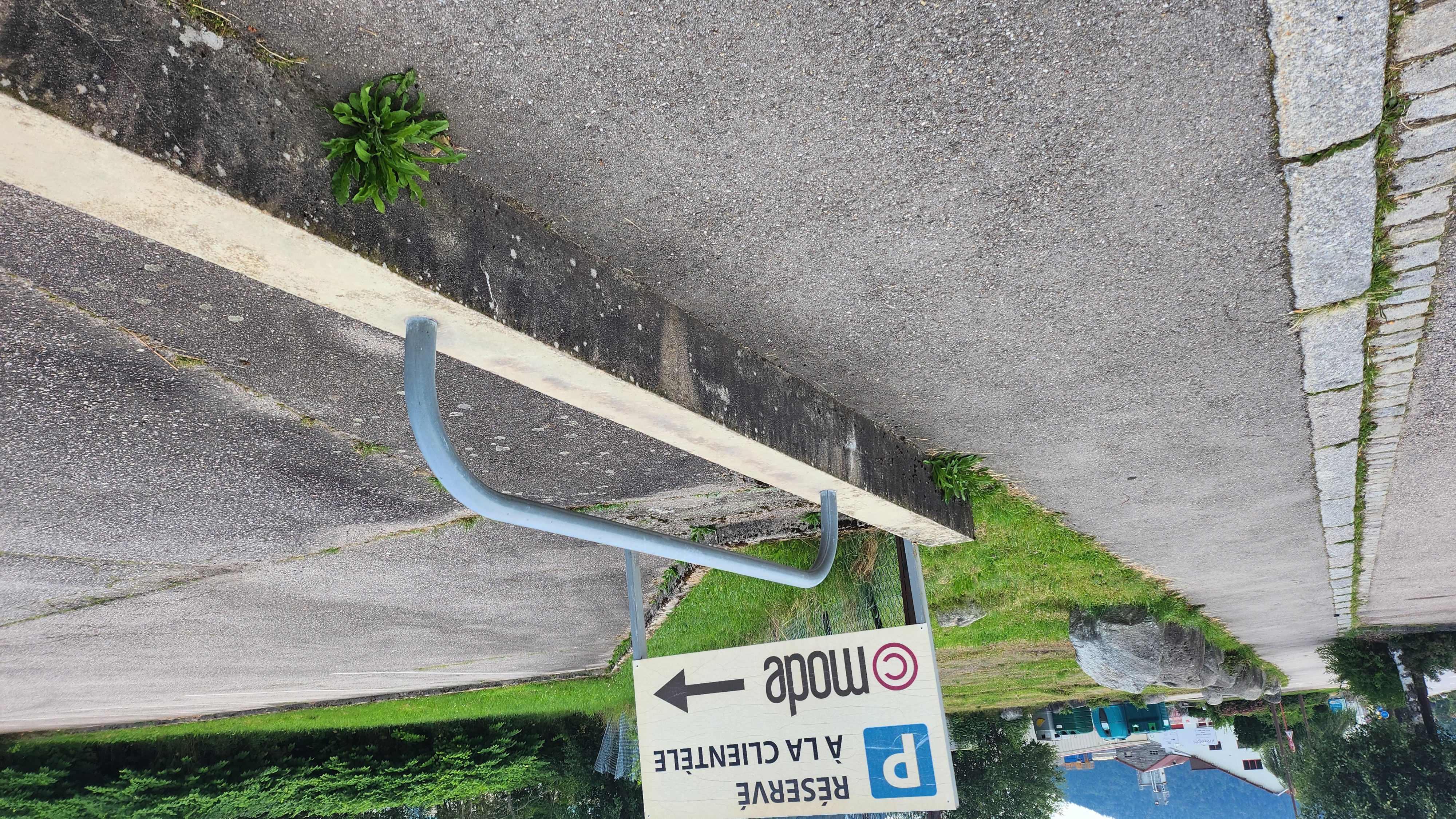 Little rail Gérardmer — photo 1