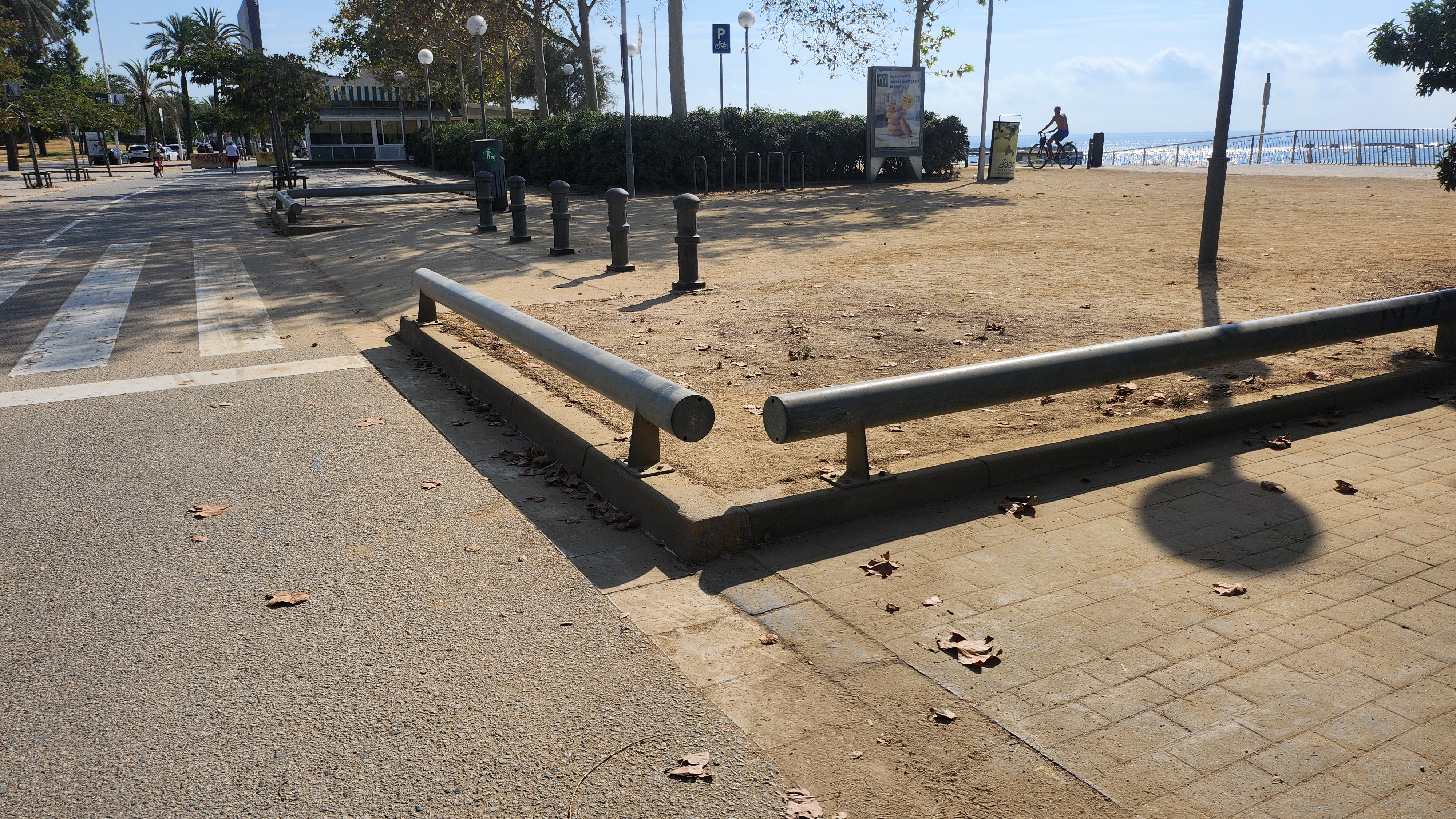 Low big rails — photo 1