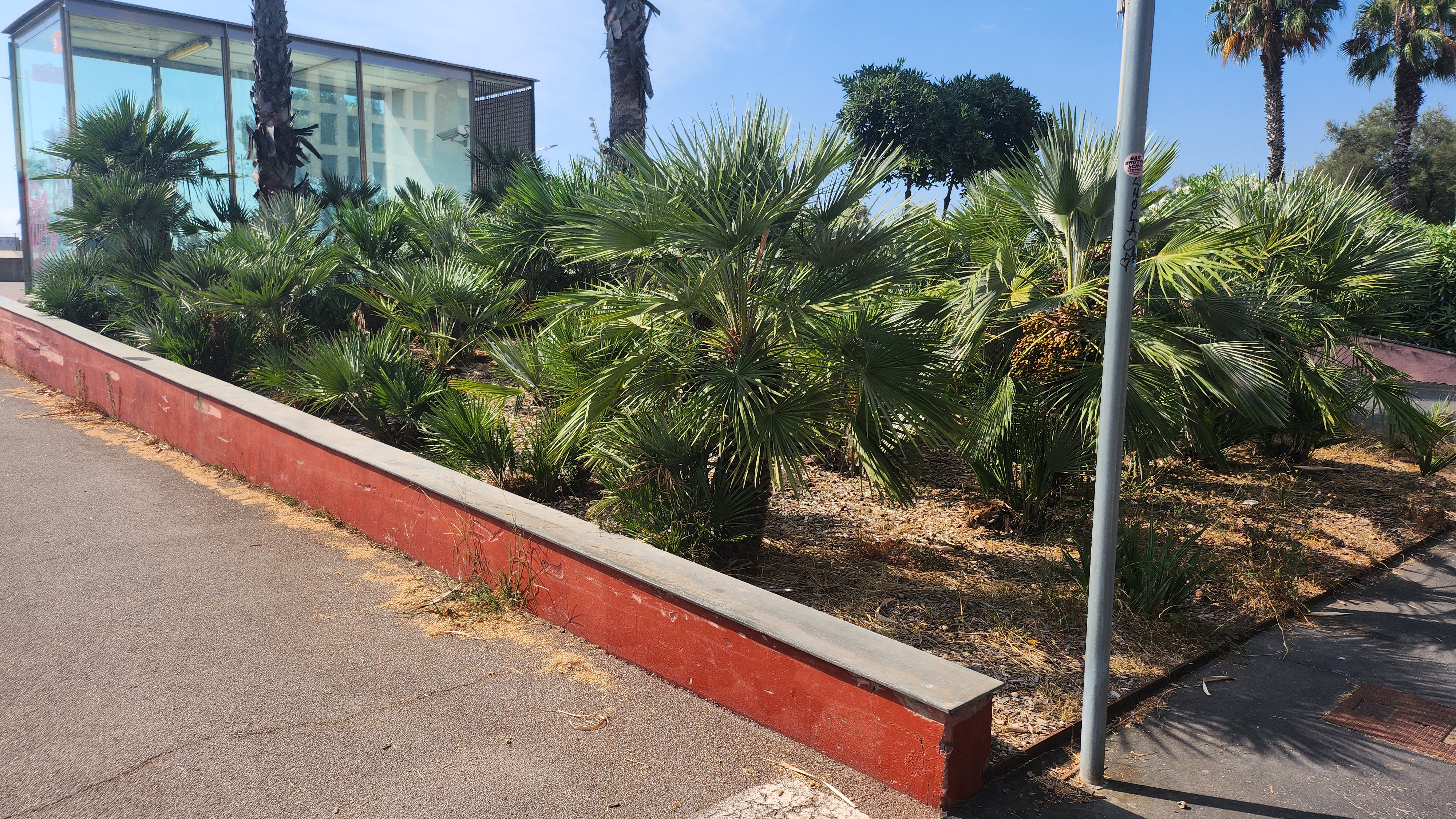 Garcia Faria spot 2 — photo 1