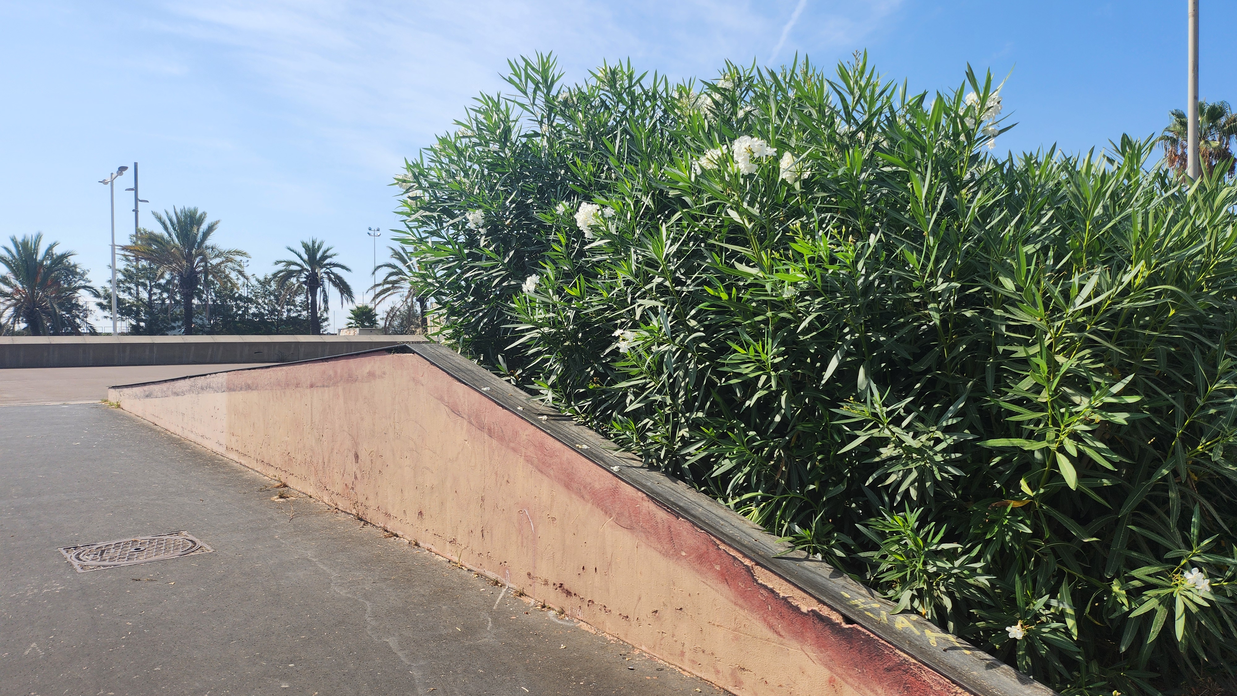Garcia Faria spot 4 — photo 1