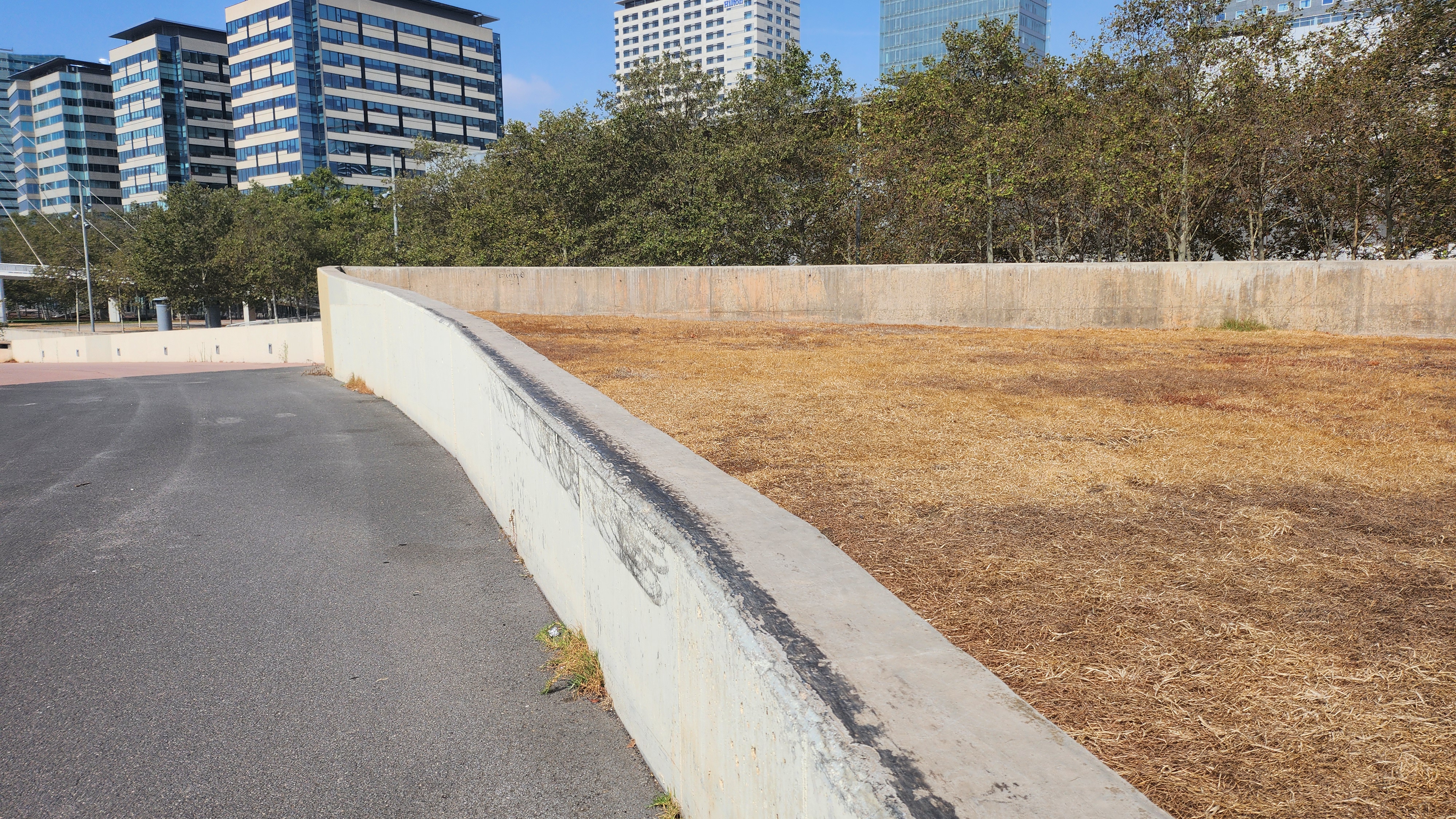 High curb forum — photo 1