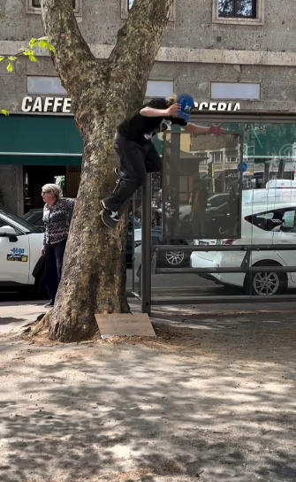 TreeRide — photo 1