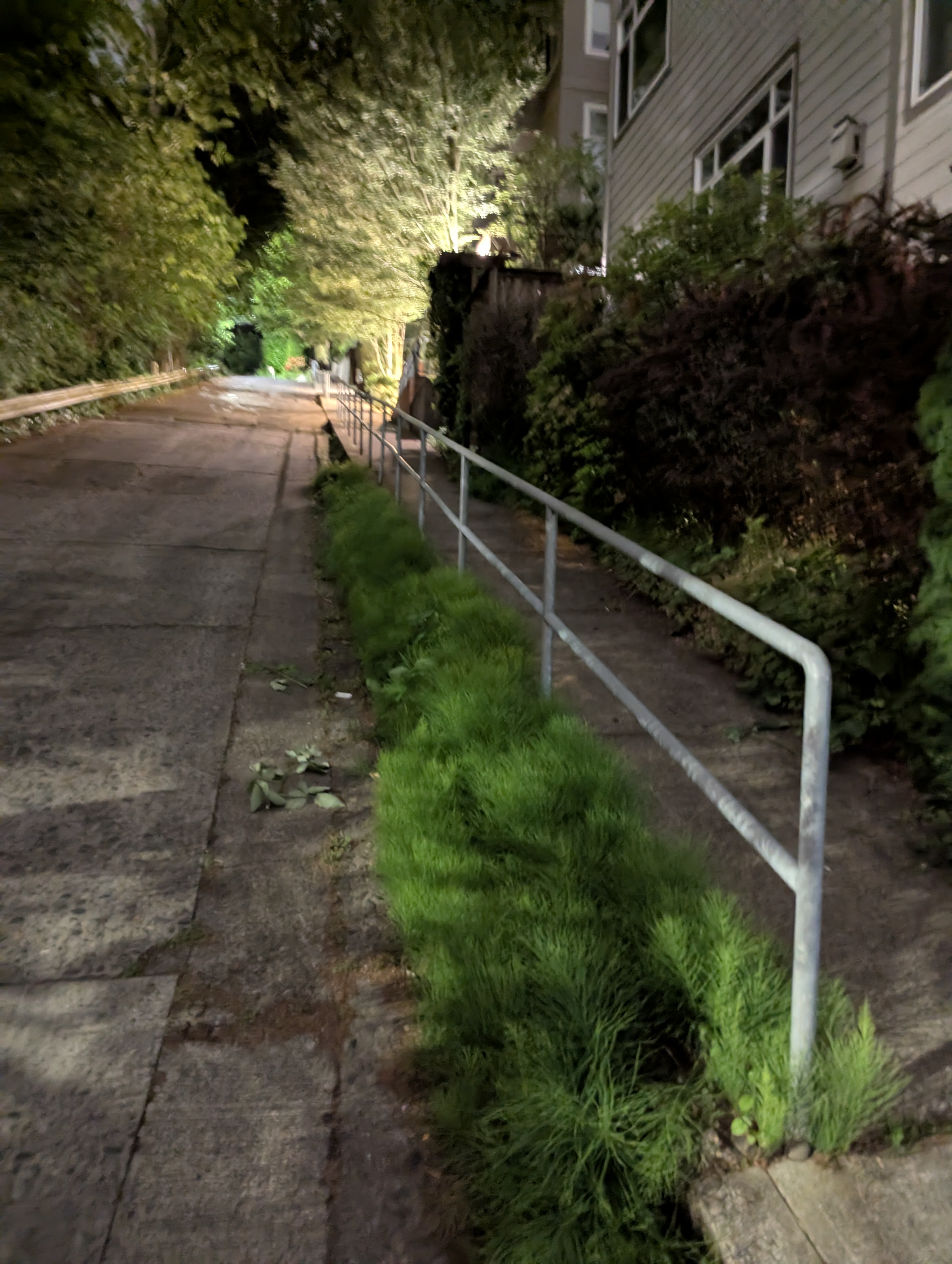 DH rails — photo 1