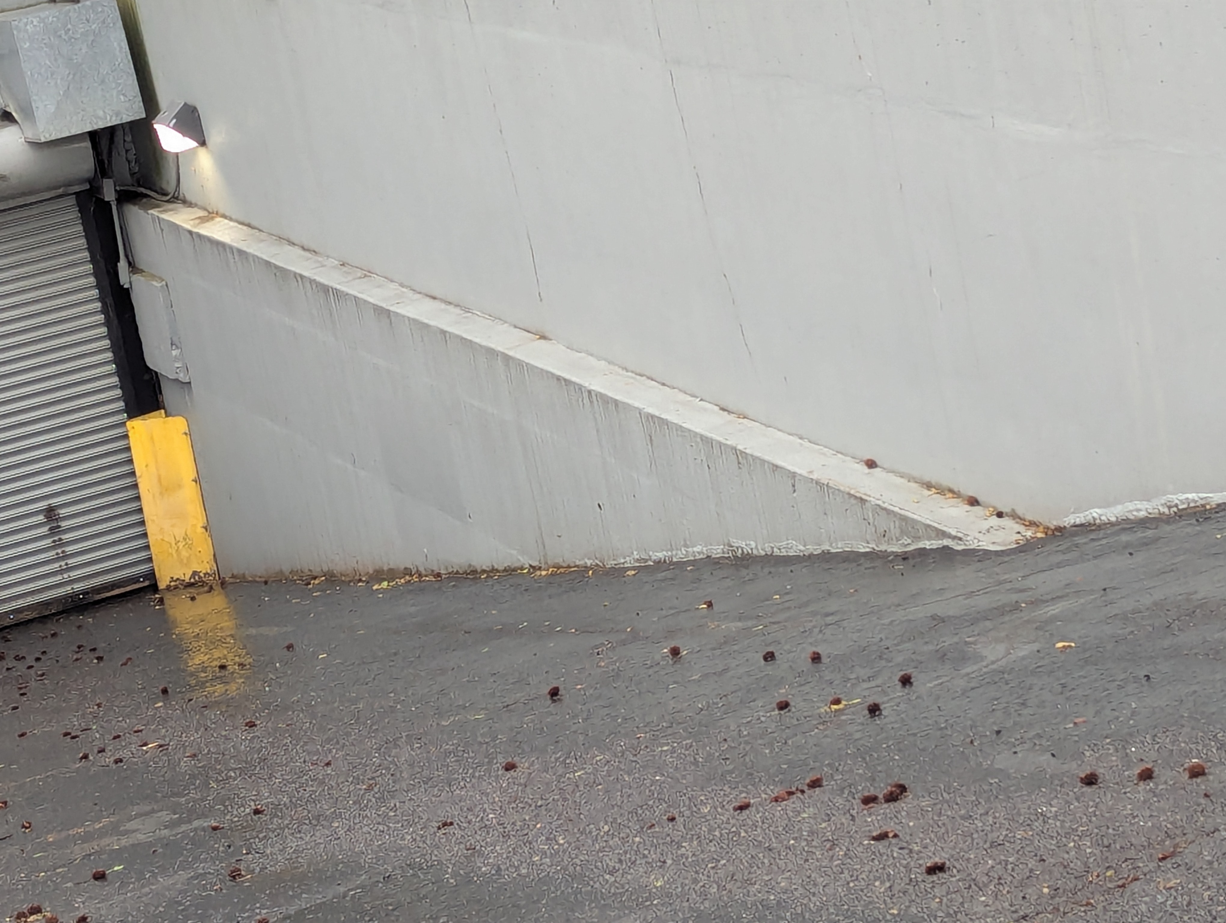 Parking garage ledge — photo 1