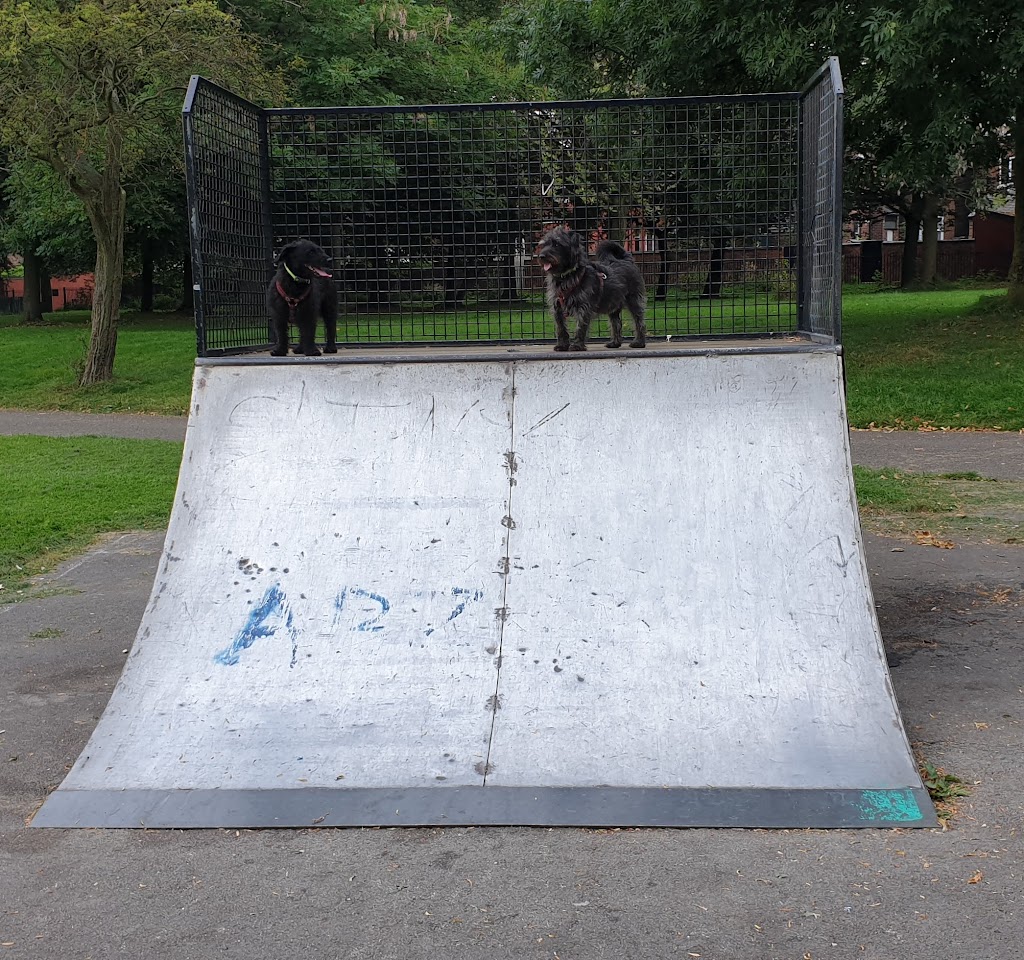 Delamere skatepark — photo 1