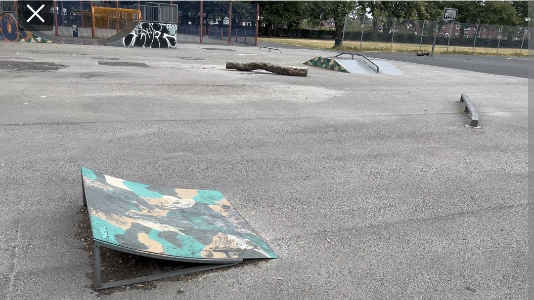 Fog Lane Skatepark — photo 1