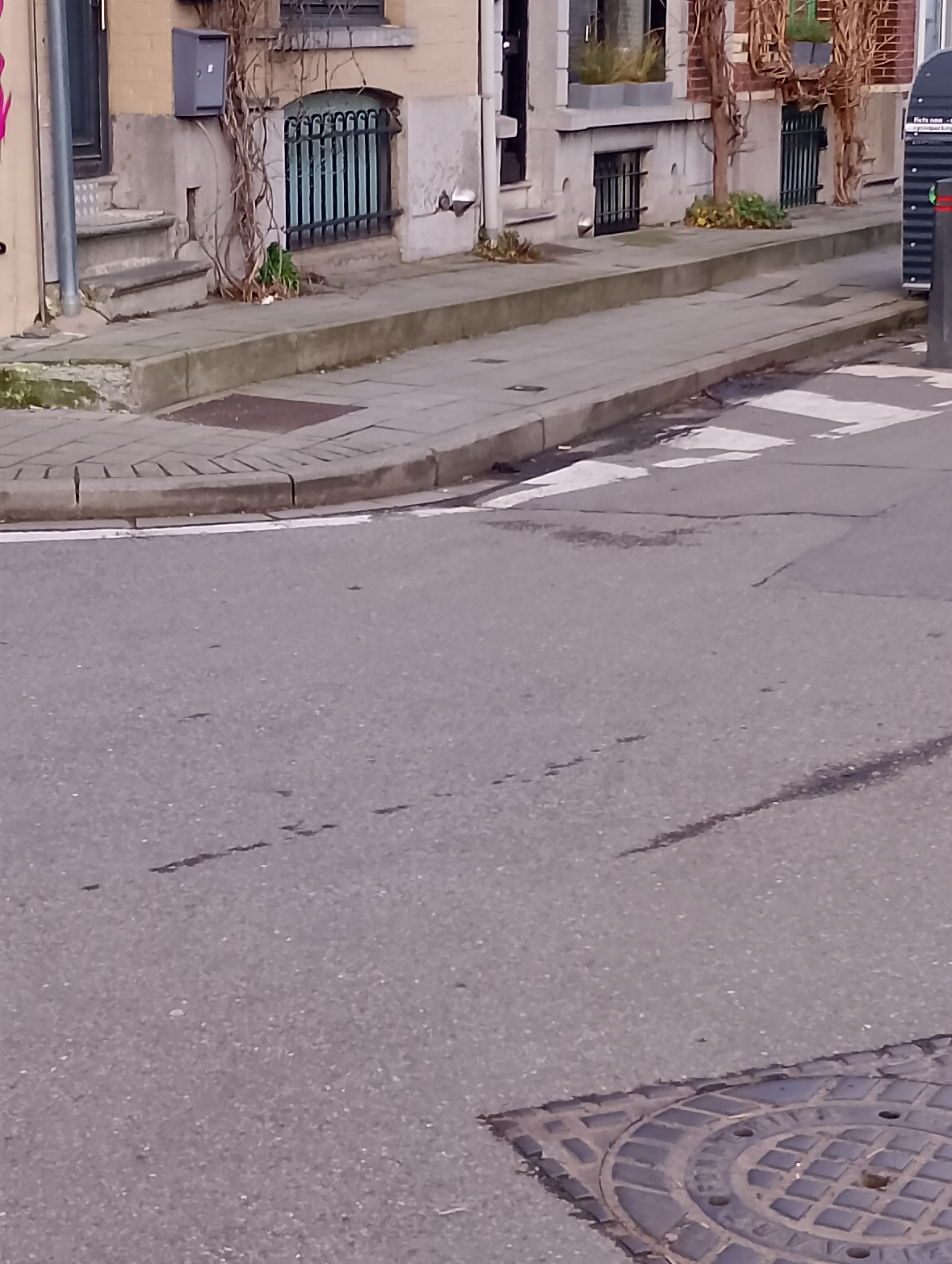 Spot street — photo 1