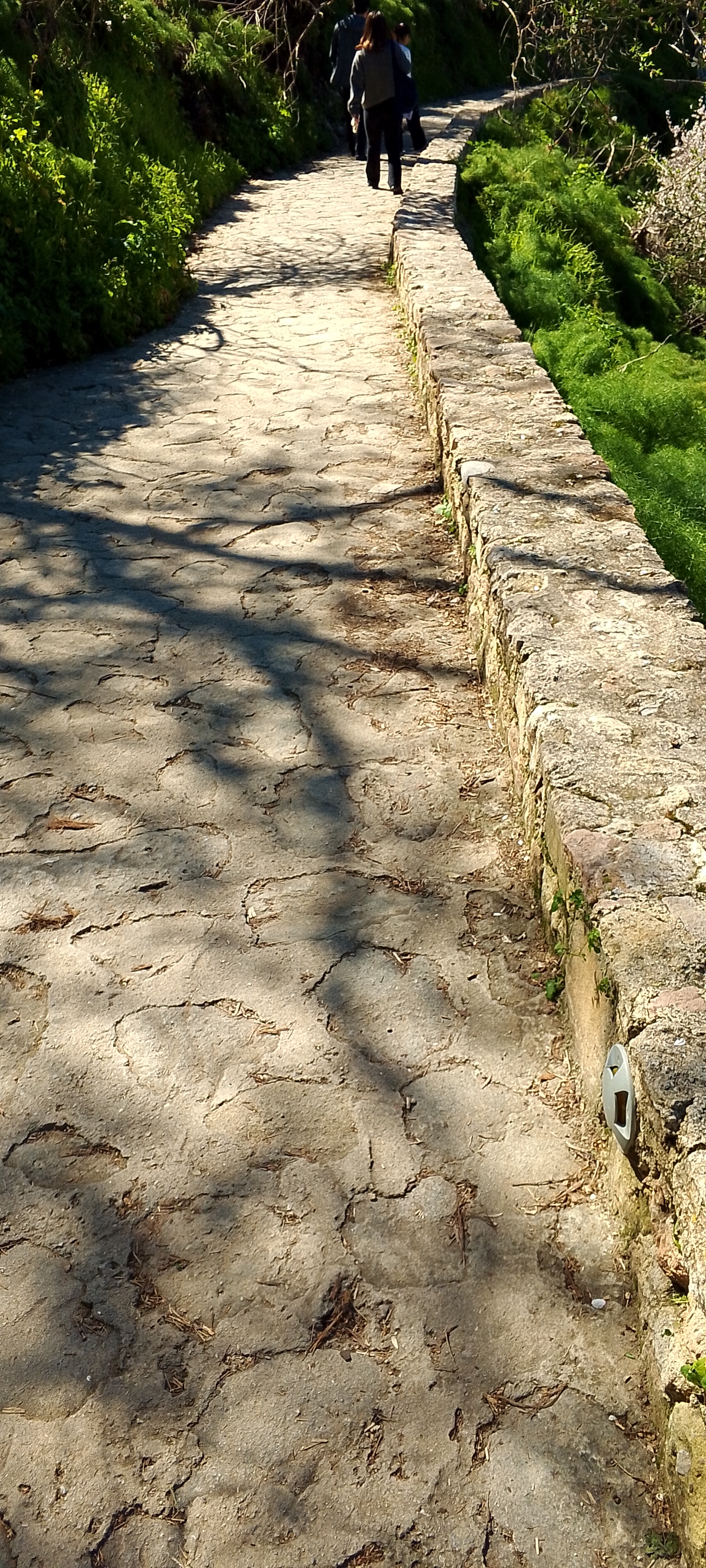 Big stairs — photo 1