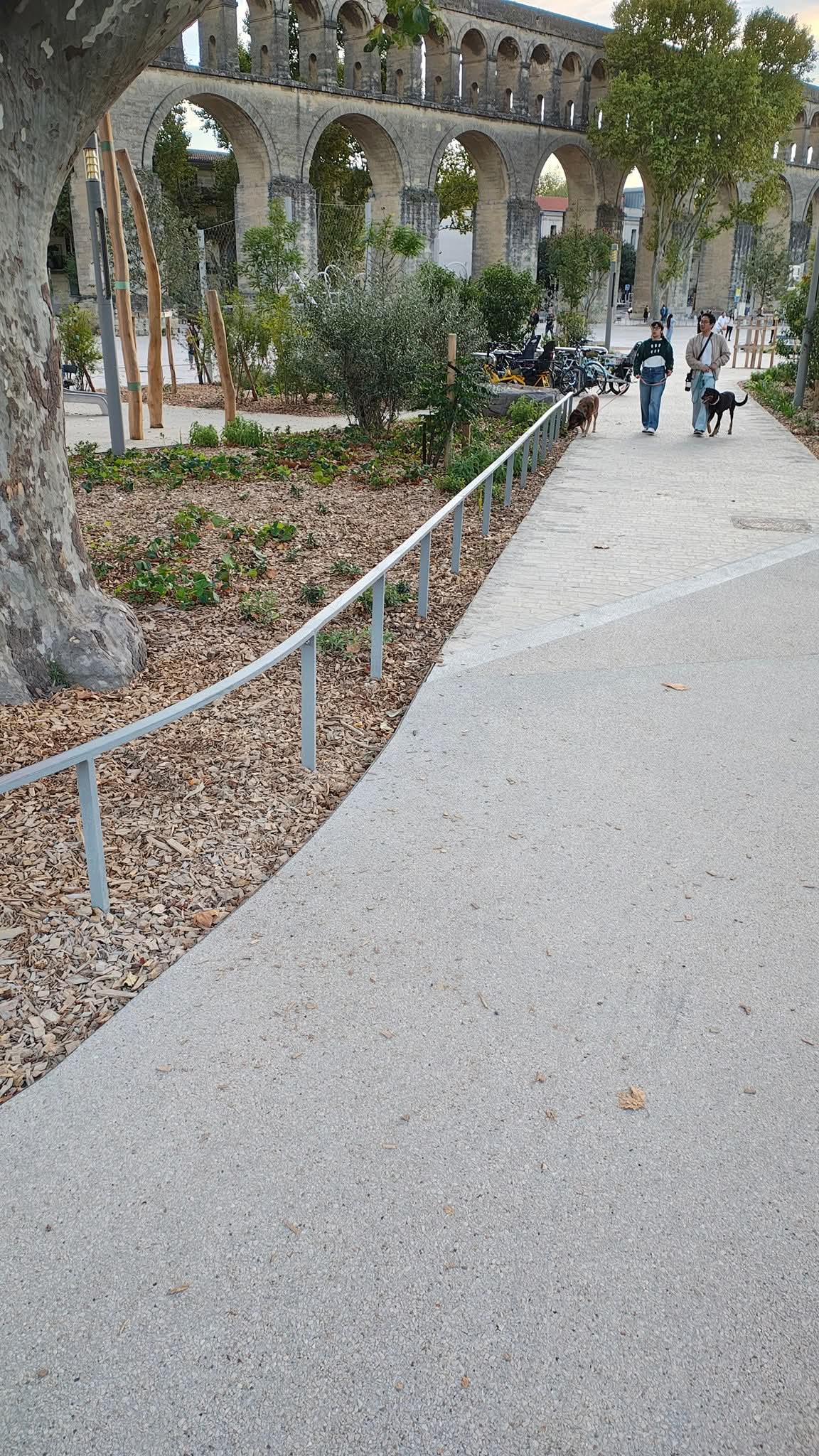 Rails — photo 1
