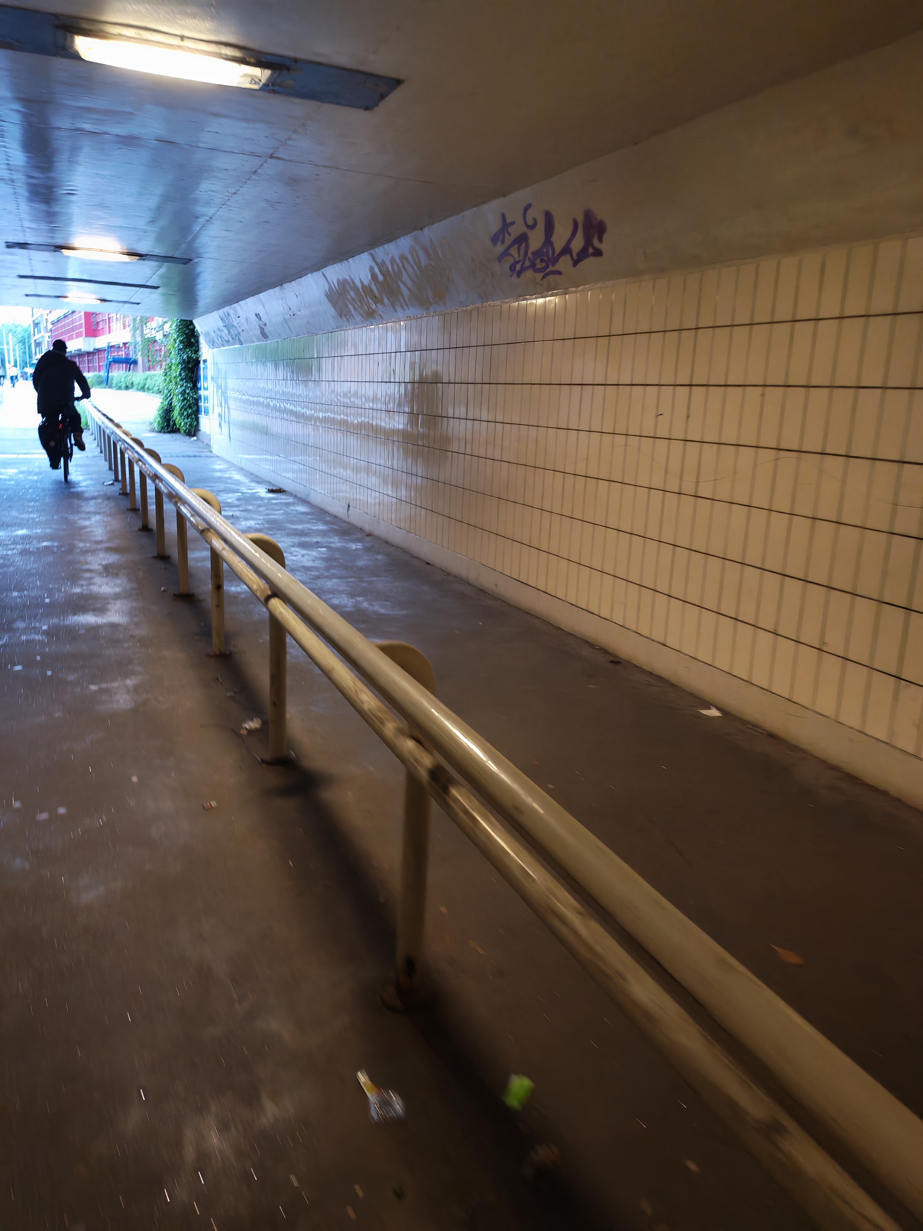 Long white tail tunnel — photo 1